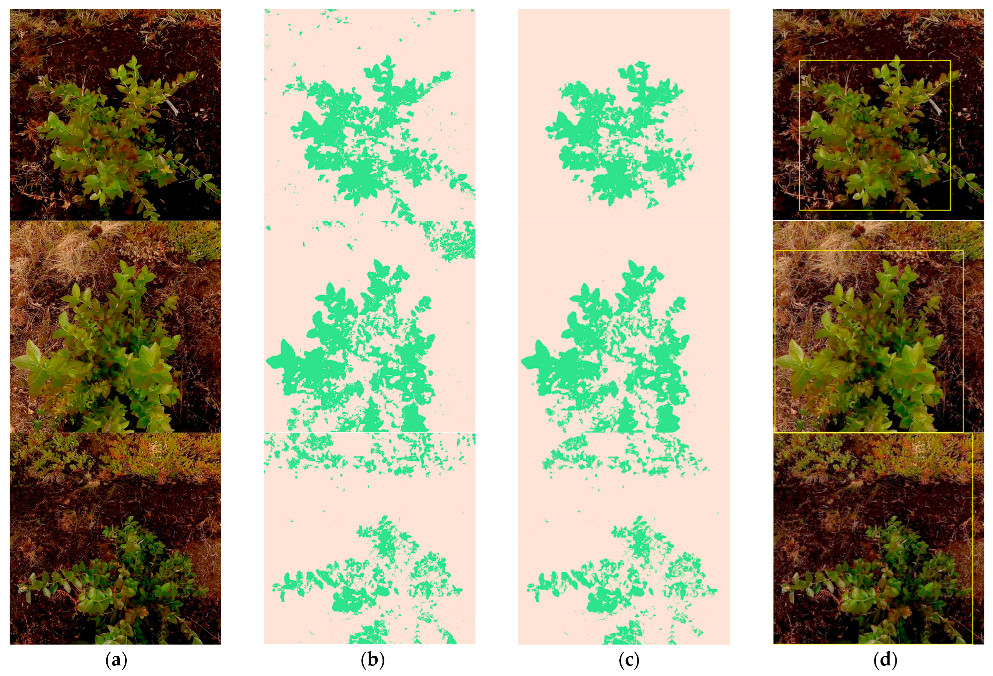 Agriengineering 06 00276 g010