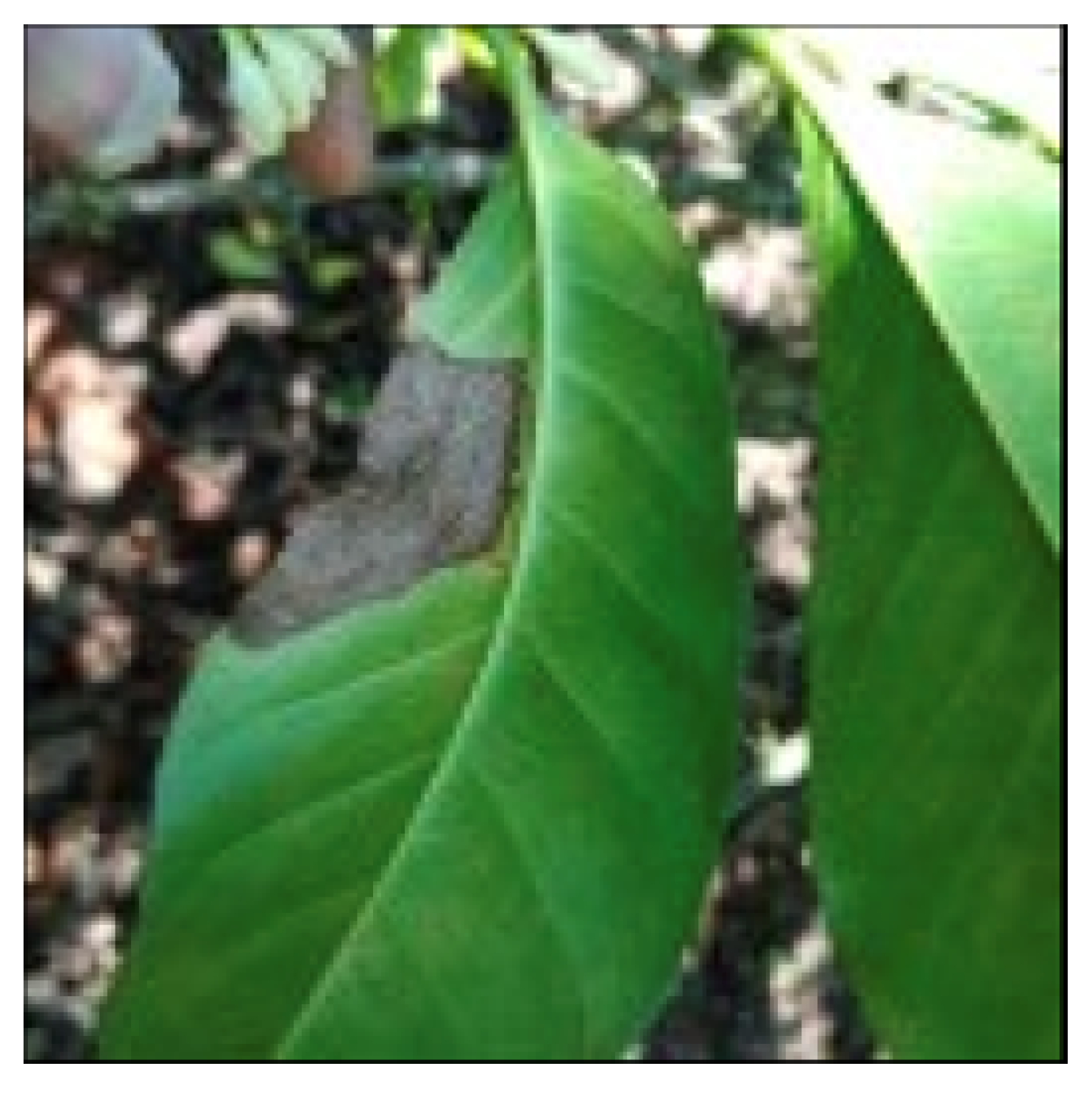 Agriengineering 07 00013 g002