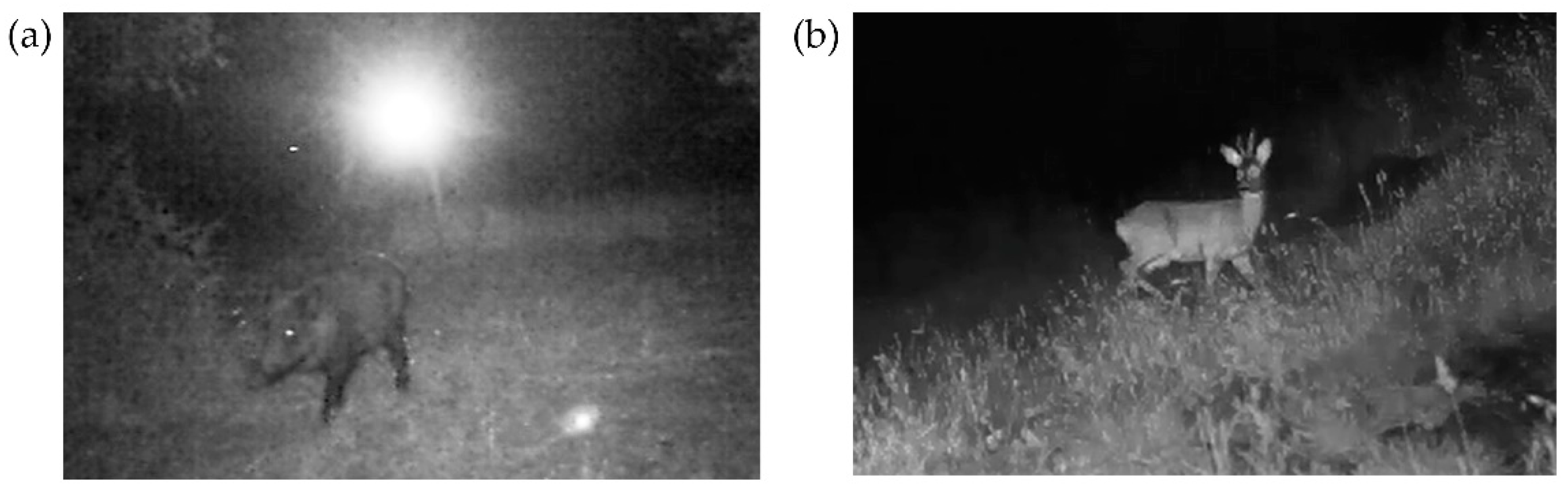 Agriengineering 07 00020 g003