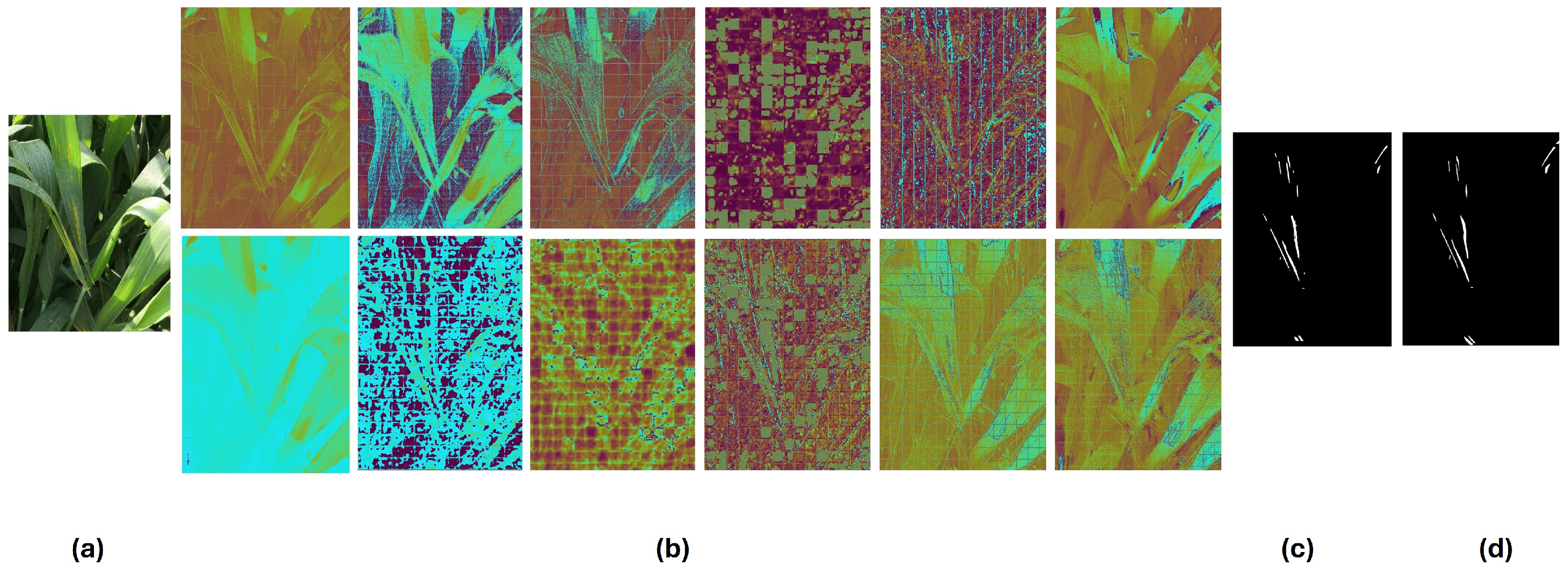 Agriengineering 07 00023 g004