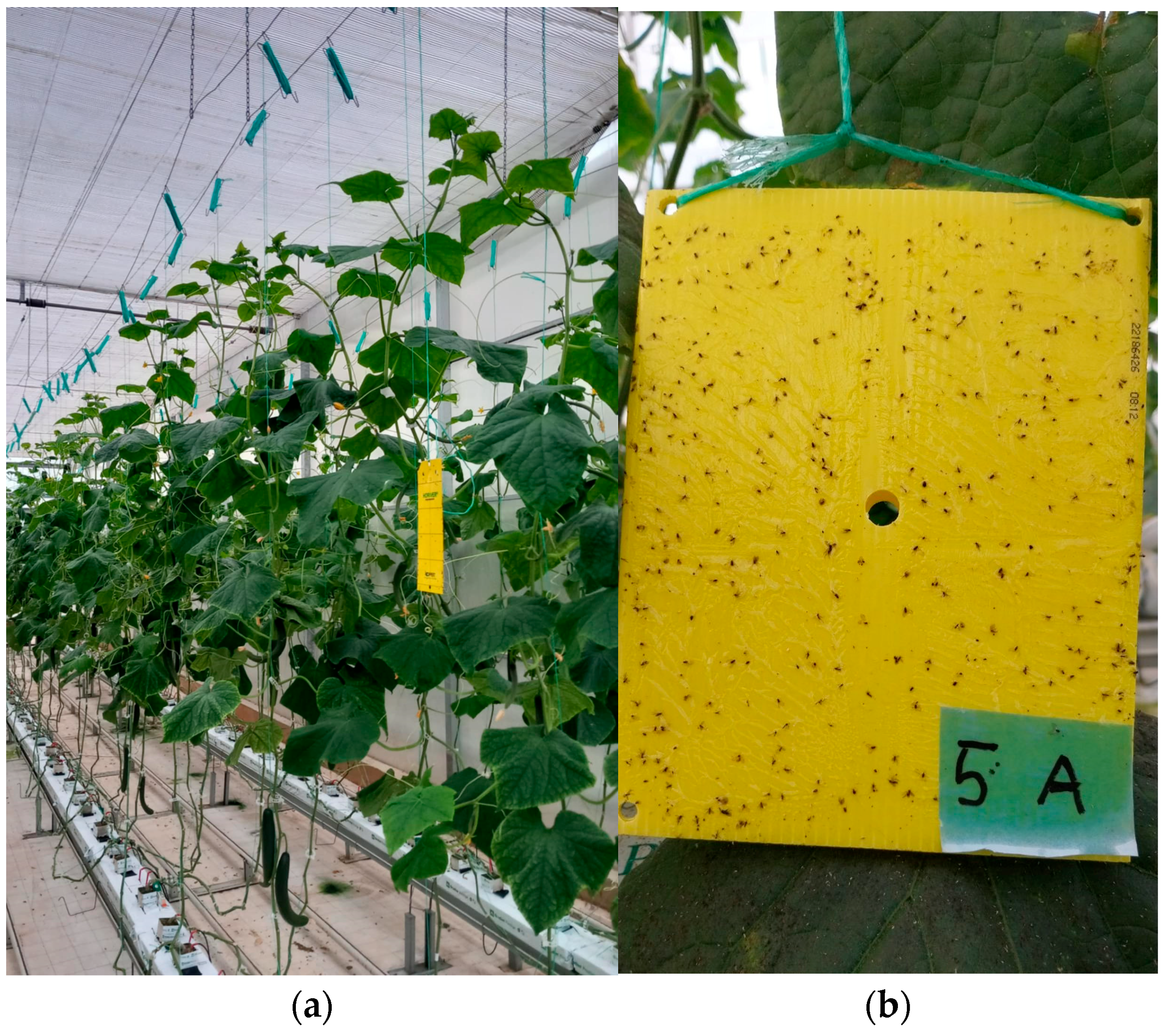 Agriengineering 07 00029 g002