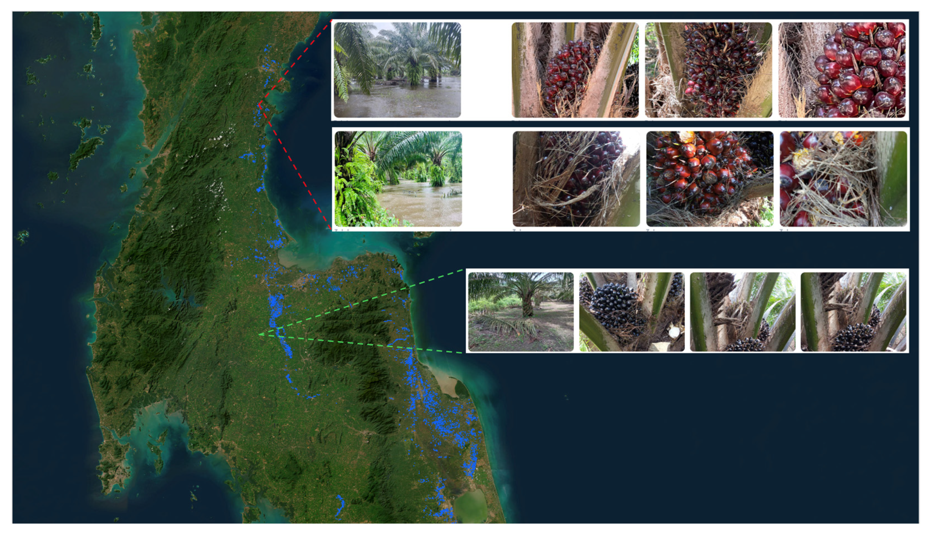 Agriengineering 07 00044 g002