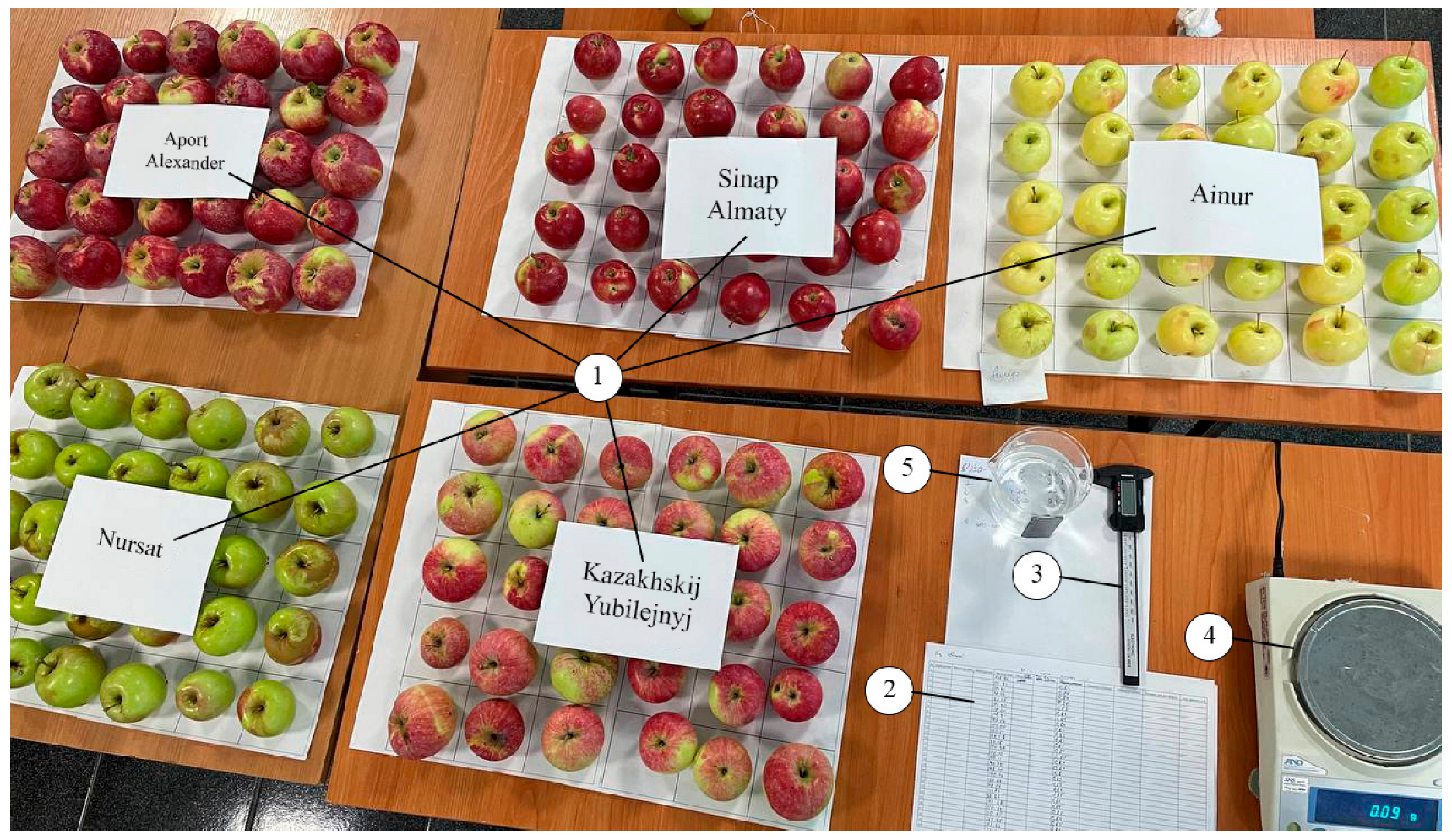 Agriengineering 07 00057 g002