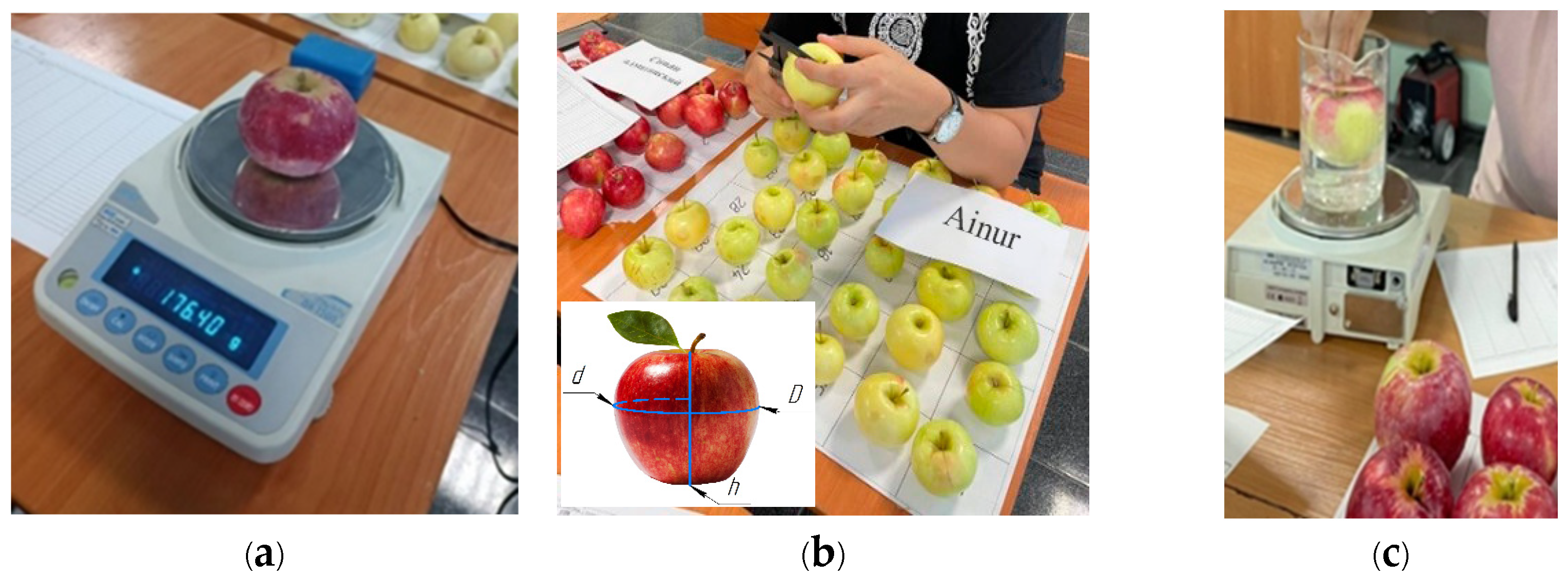 Agriengineering 07 00057 g003