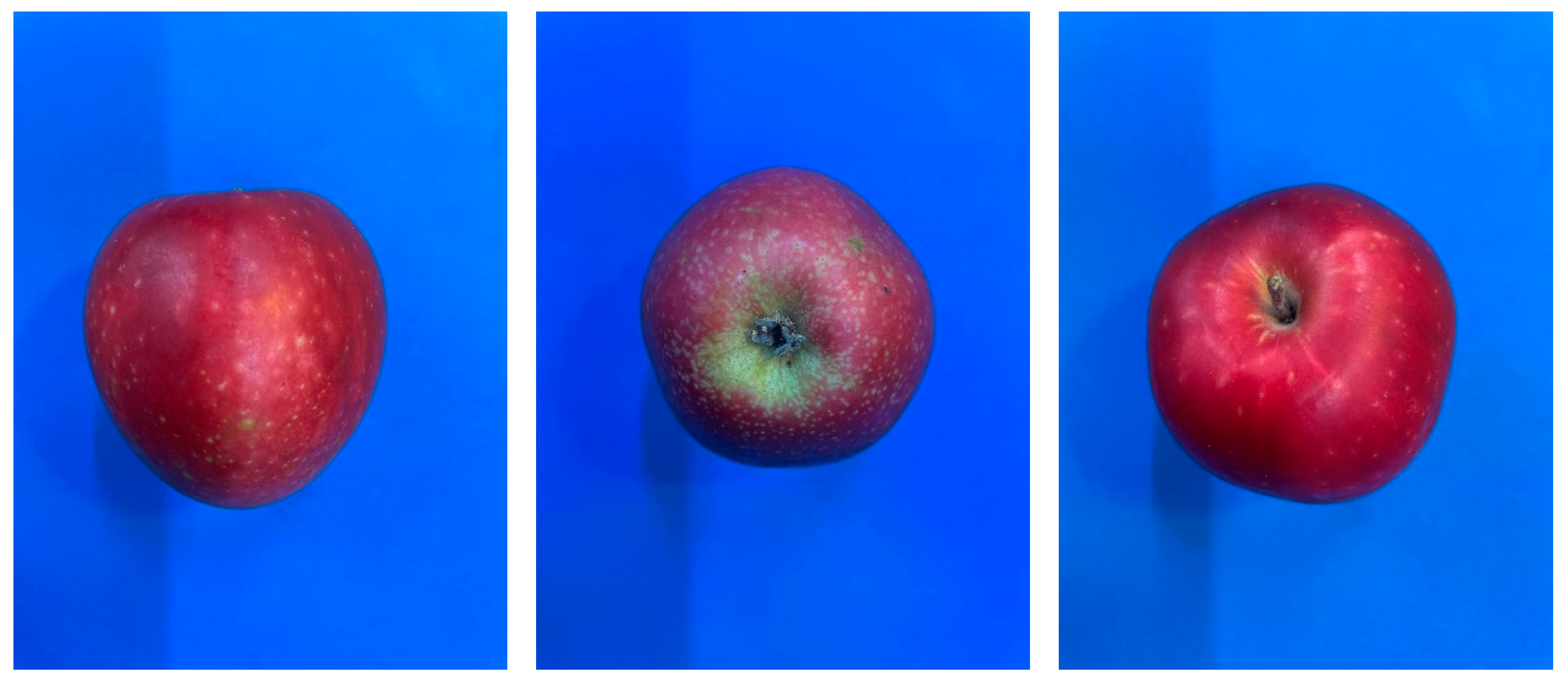 Agriengineering 07 00057 g005