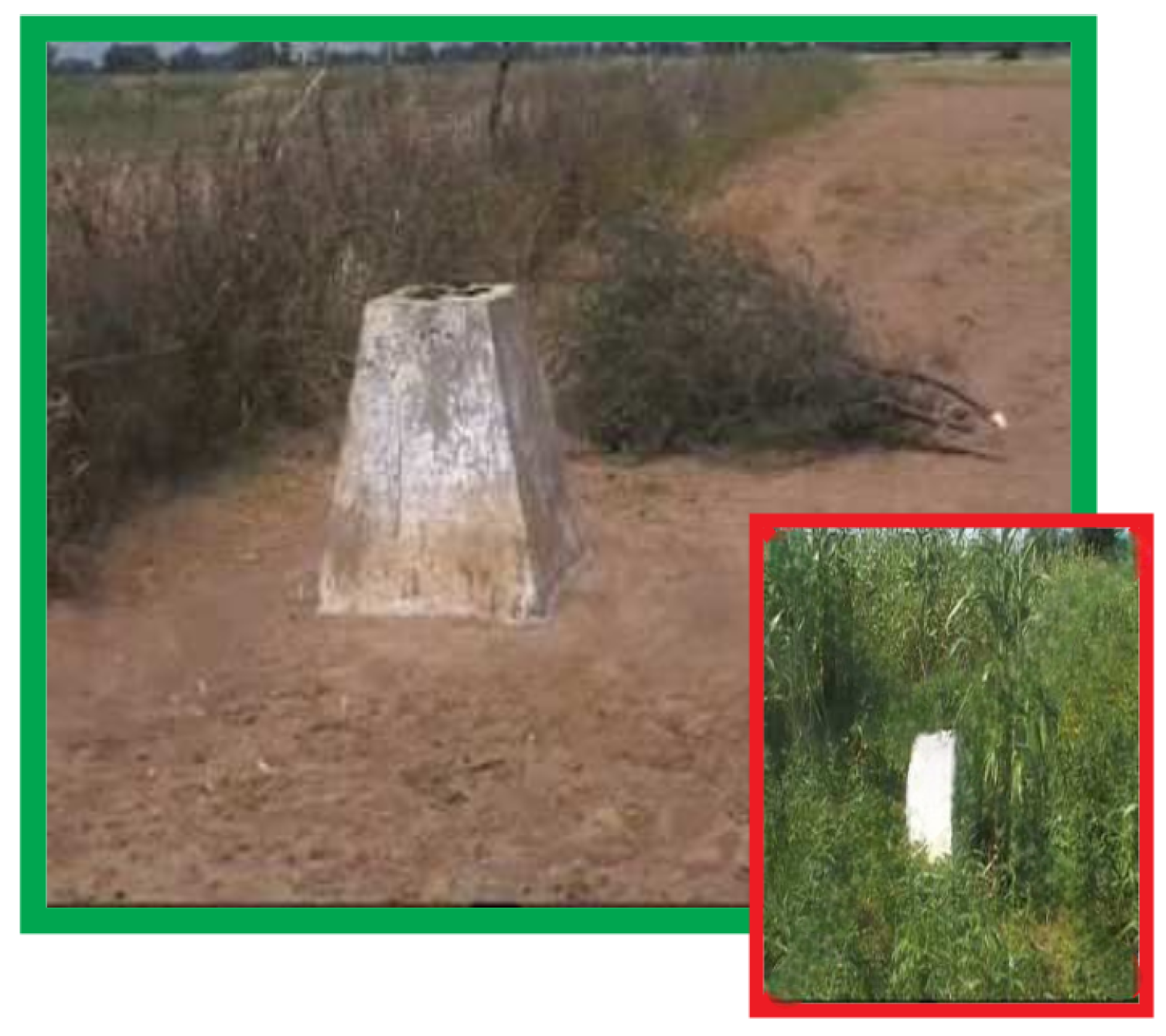 Agriengineering 07 00060 g001 Agriengineering 07 00060 g001