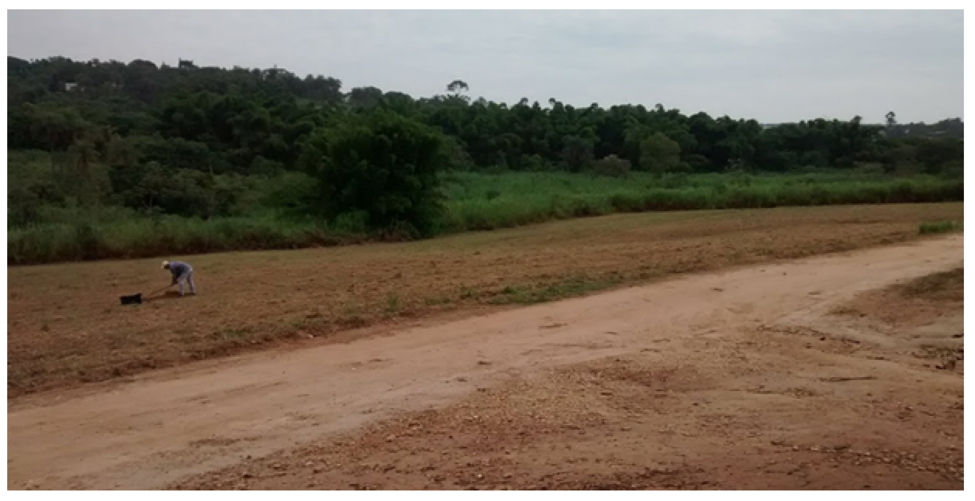 Agriengineering 07 00061 g005