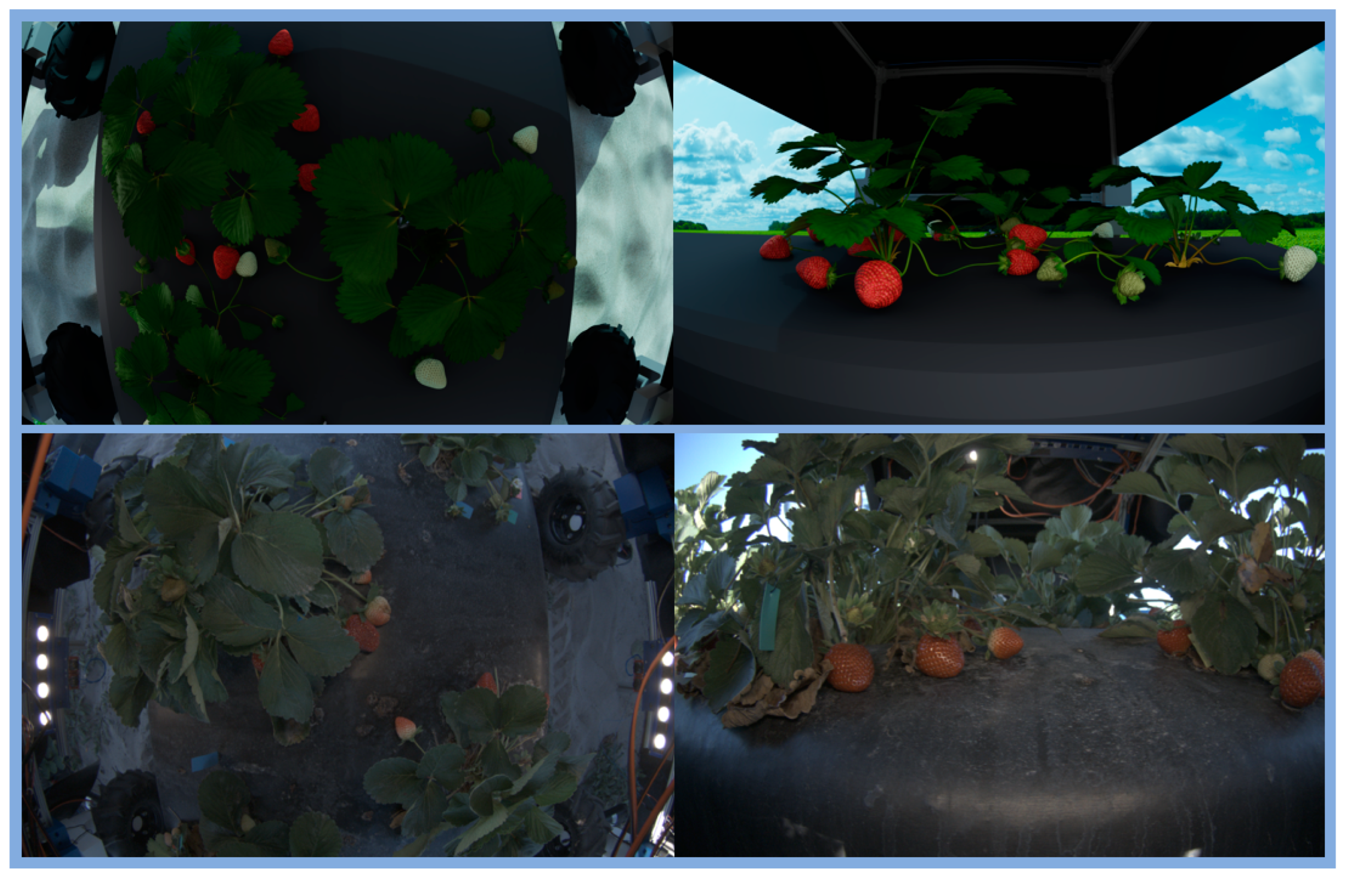 Agriengineering 07 00081 g010