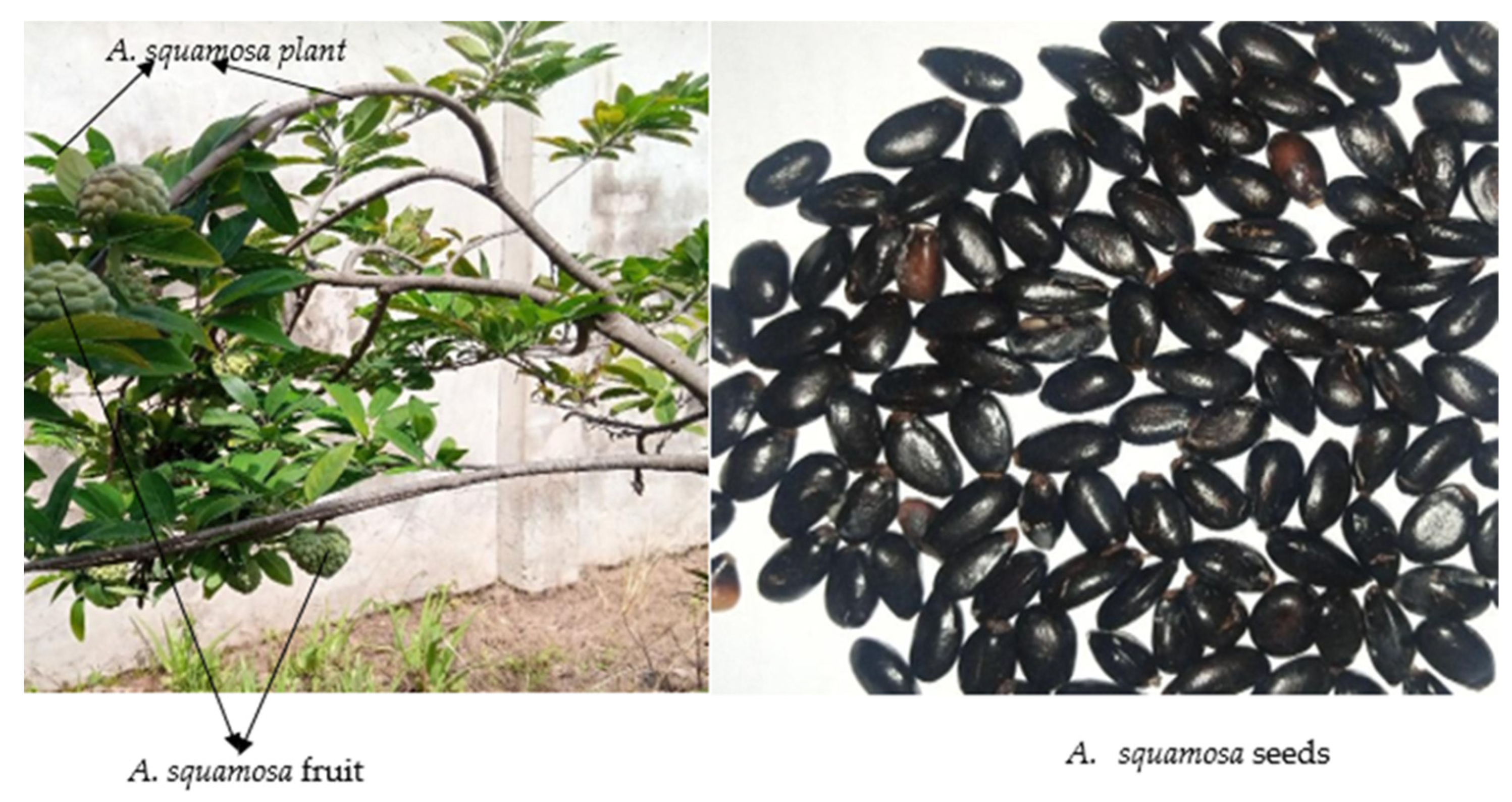 Agriengineering 07 00104 g001