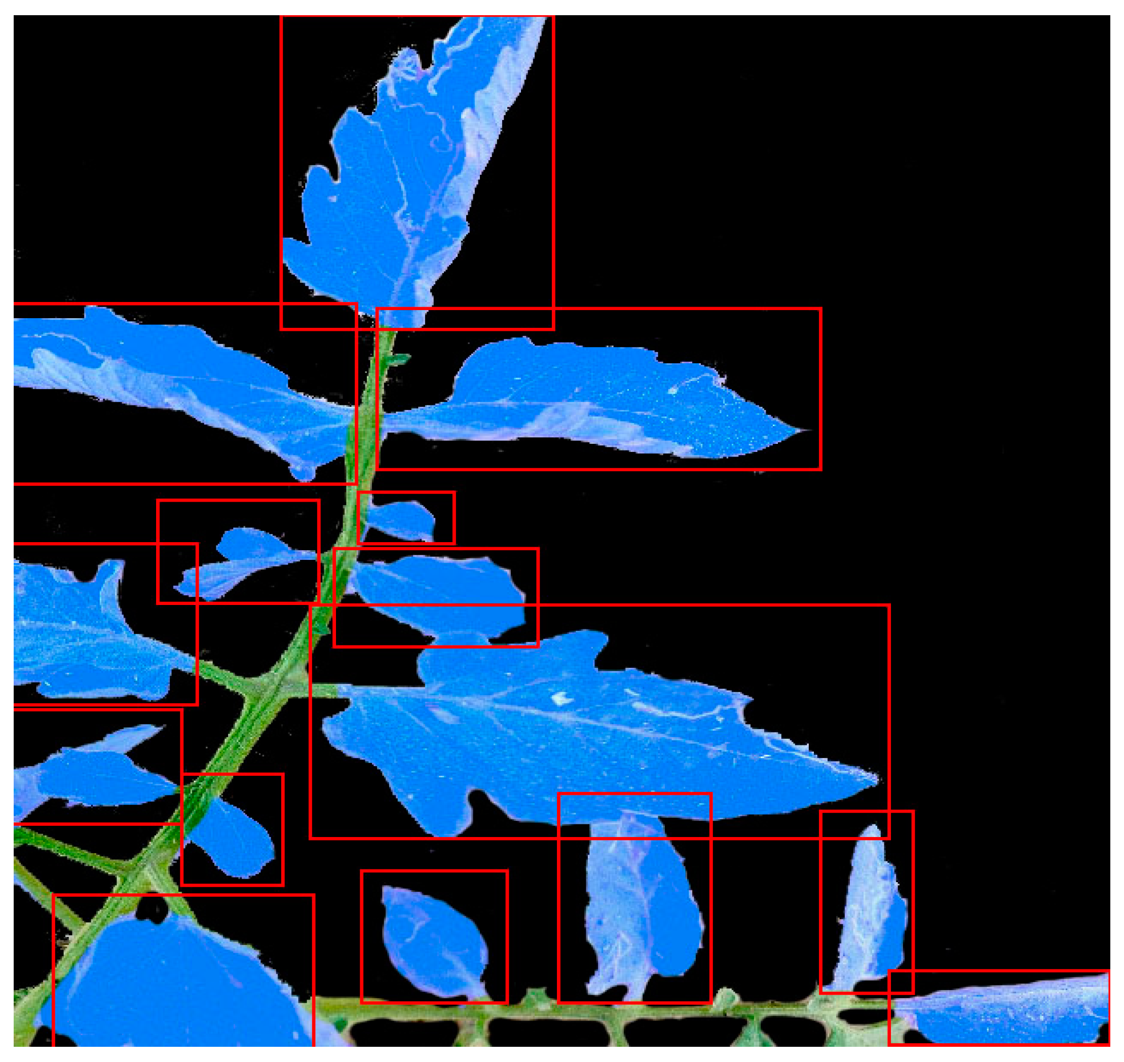 Agriengineering 07 00120 g006