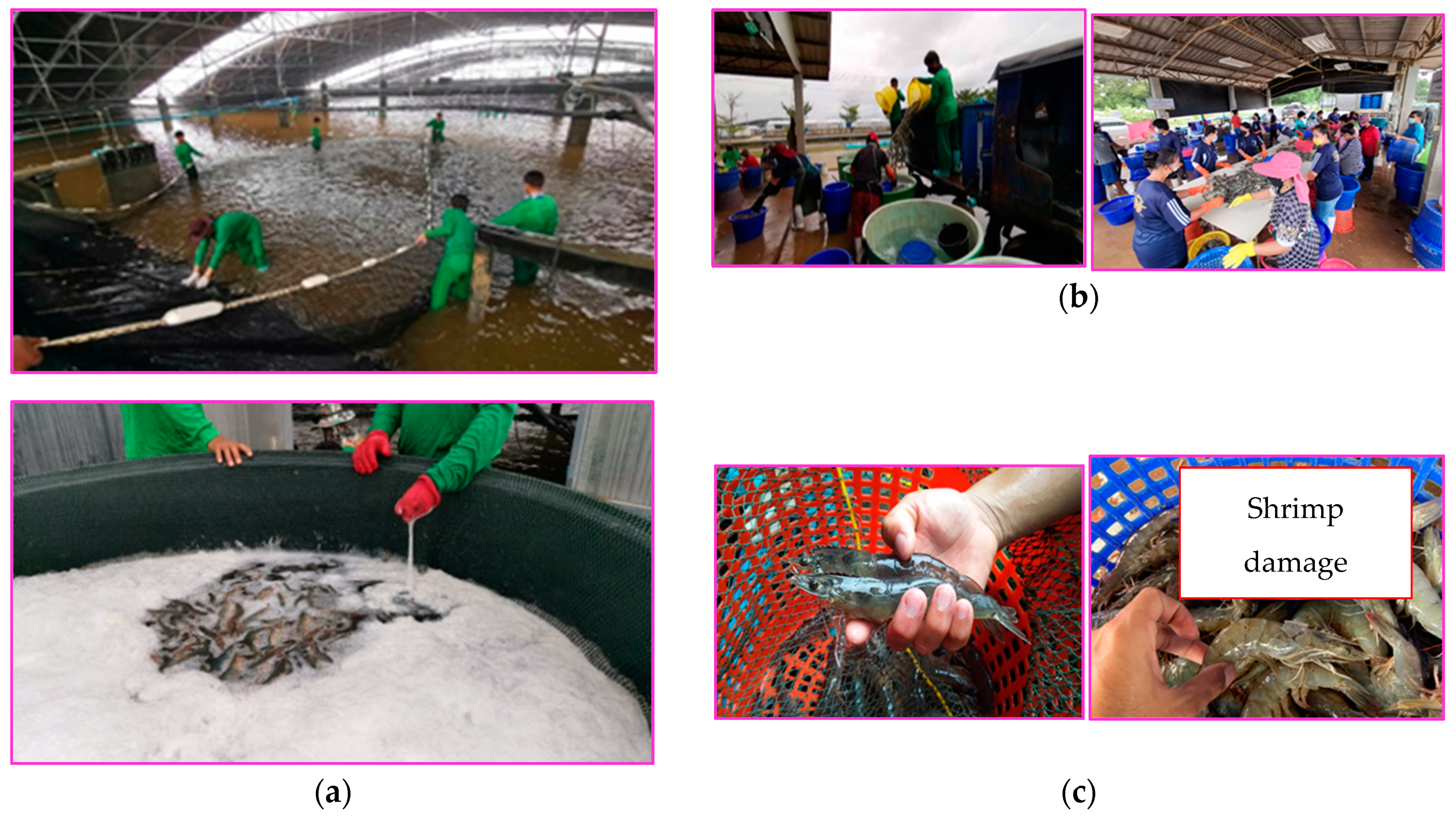 Agriengineering 07 00128 g003