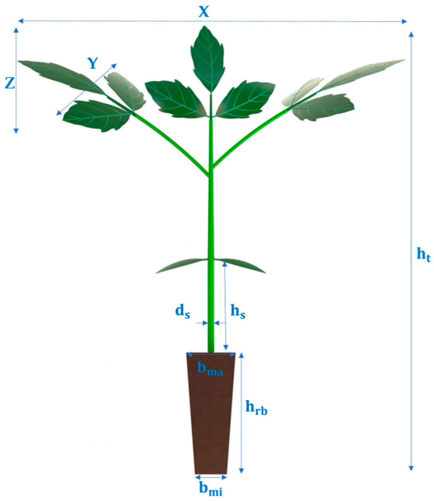 Agriengineering 07 00138 g002