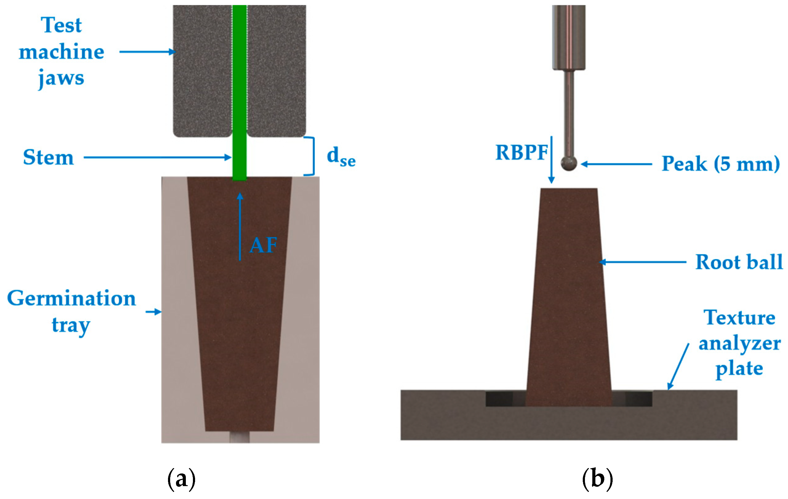 Agriengineering 07 00138 g004