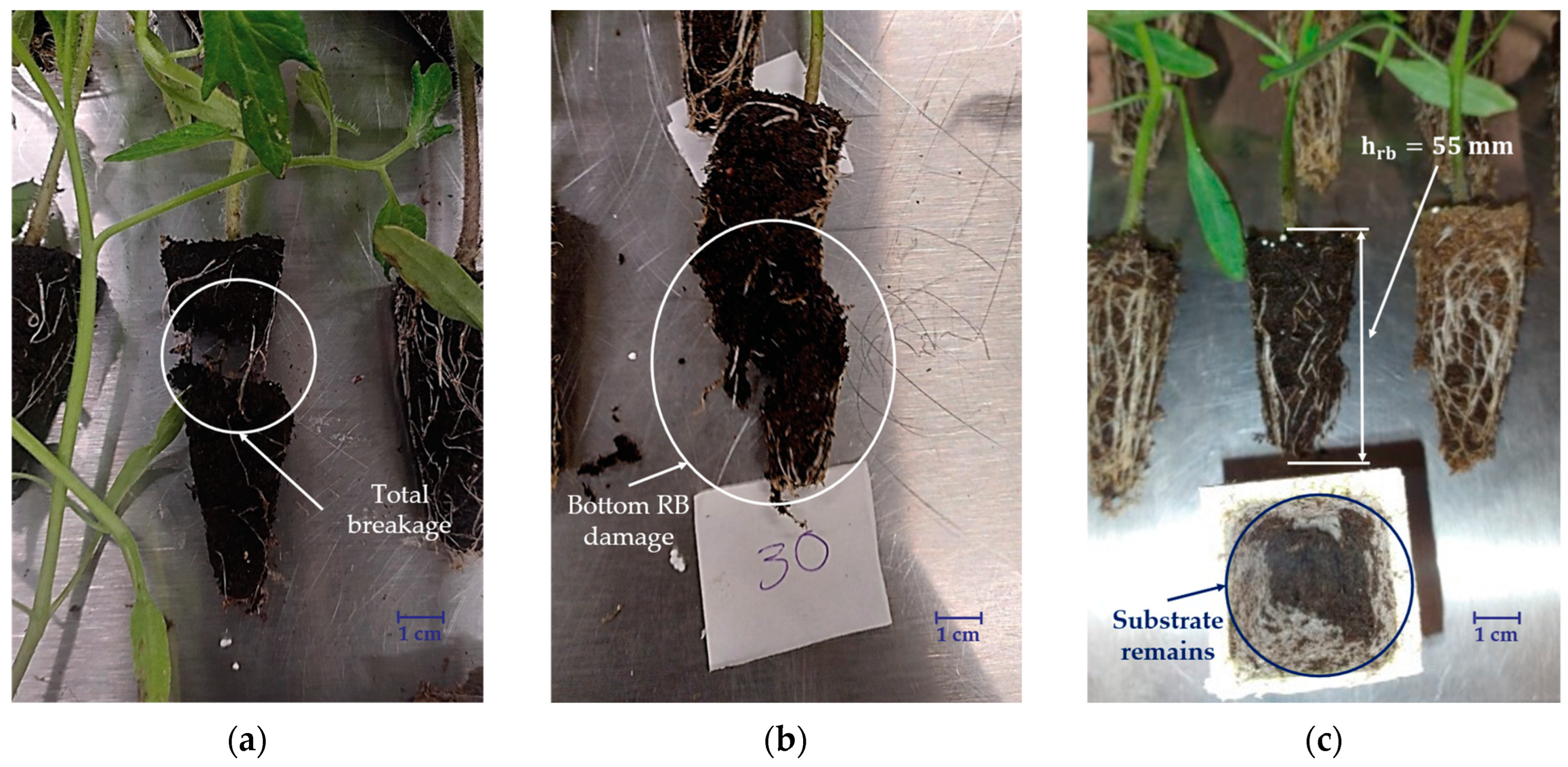 Agriengineering 07 00138 g009