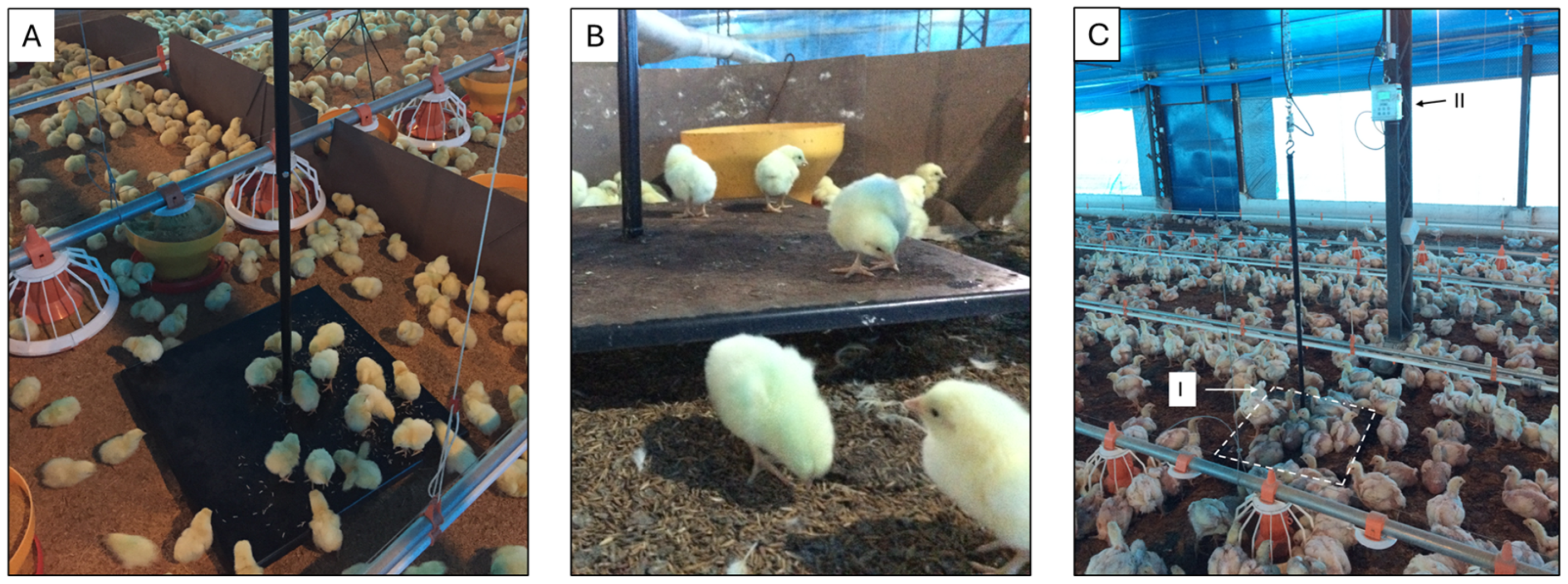 Agriengineering 07 00141 g002