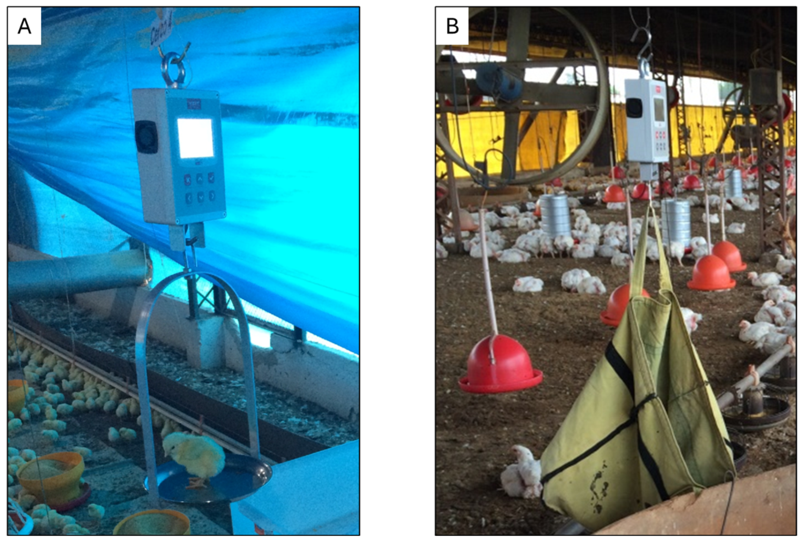 Agriengineering 07 00141 g003