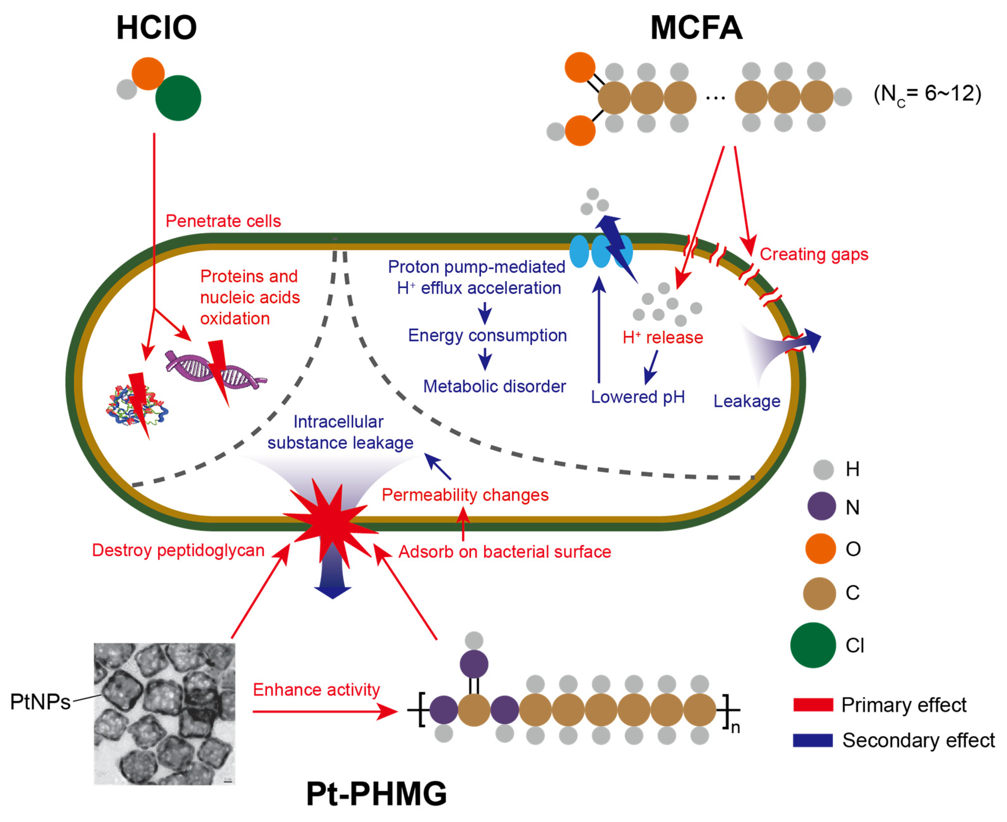 Agriengineering 07 00143 g002 Agriengineering 07 00143 g002
