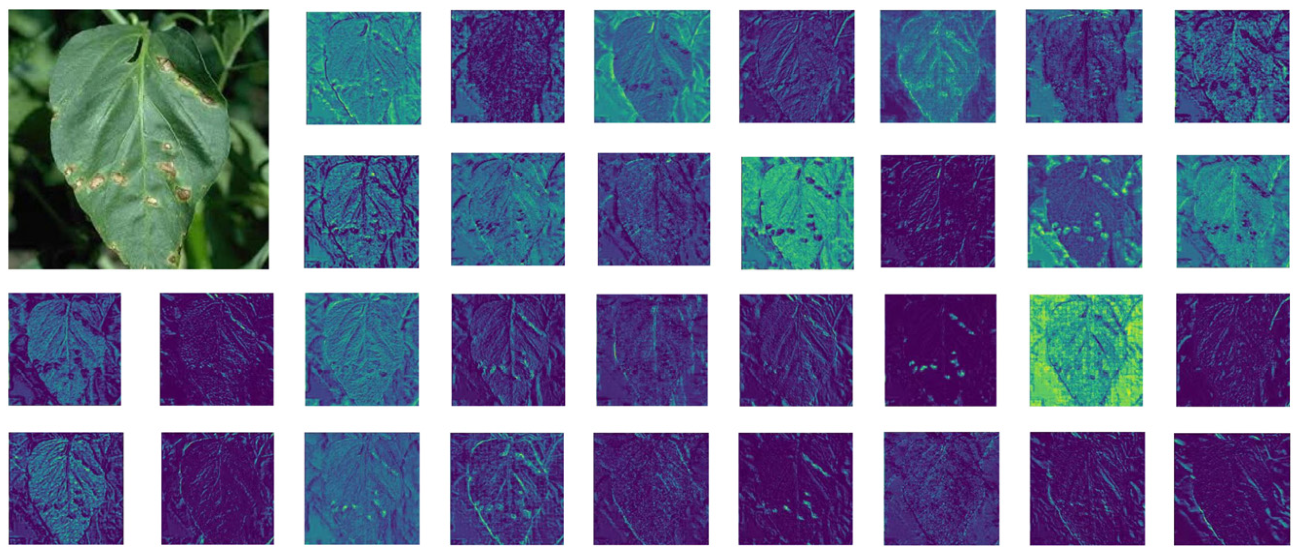 Agriengineering 07 00153 g008