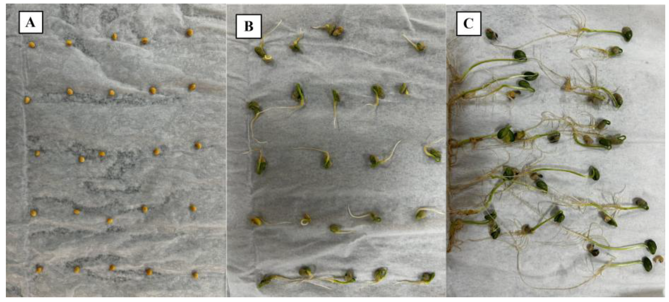 Agriengineering 07 00169 g001
