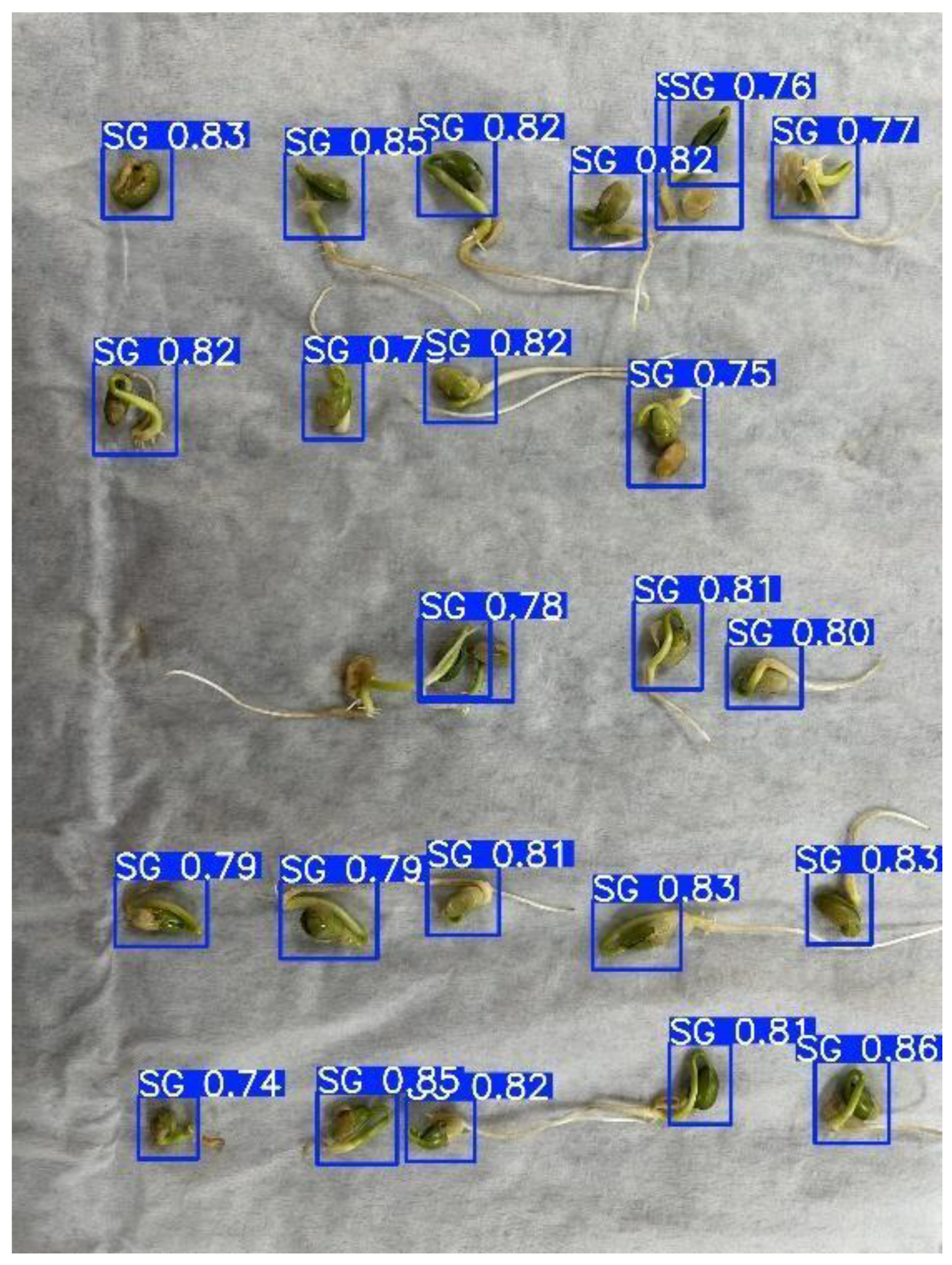 Agriengineering 07 00169 g006