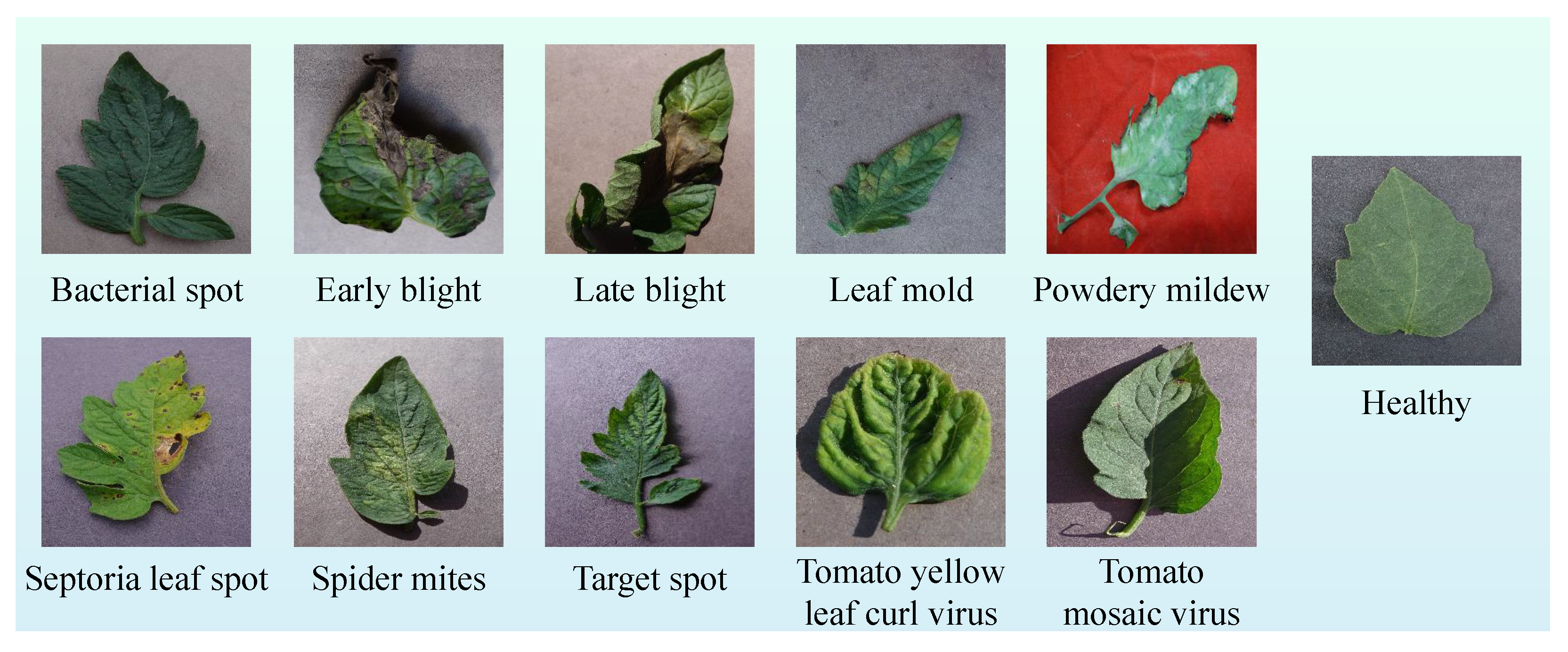 Agriengineering 07 00185 g002