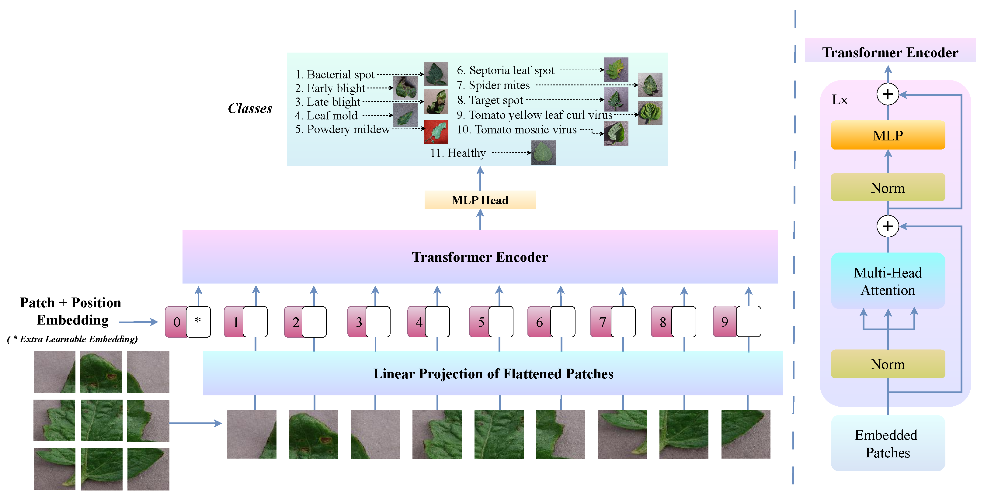 Agriengineering 07 00185 g003