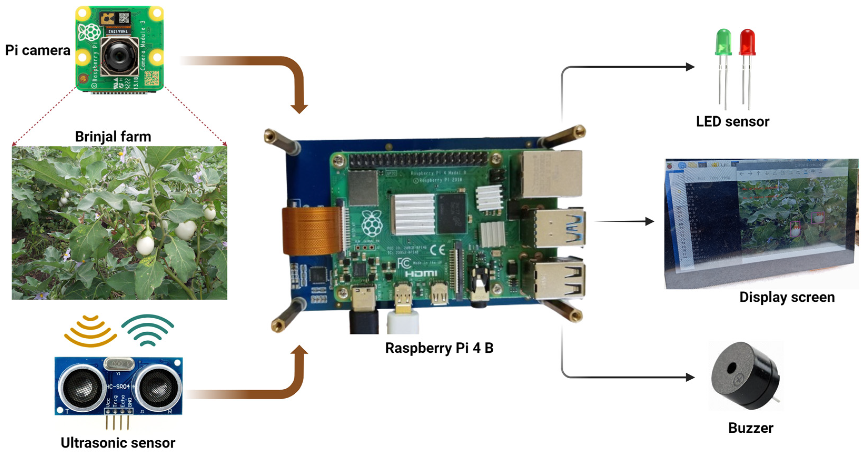 Agriengineering 07 00196 g001