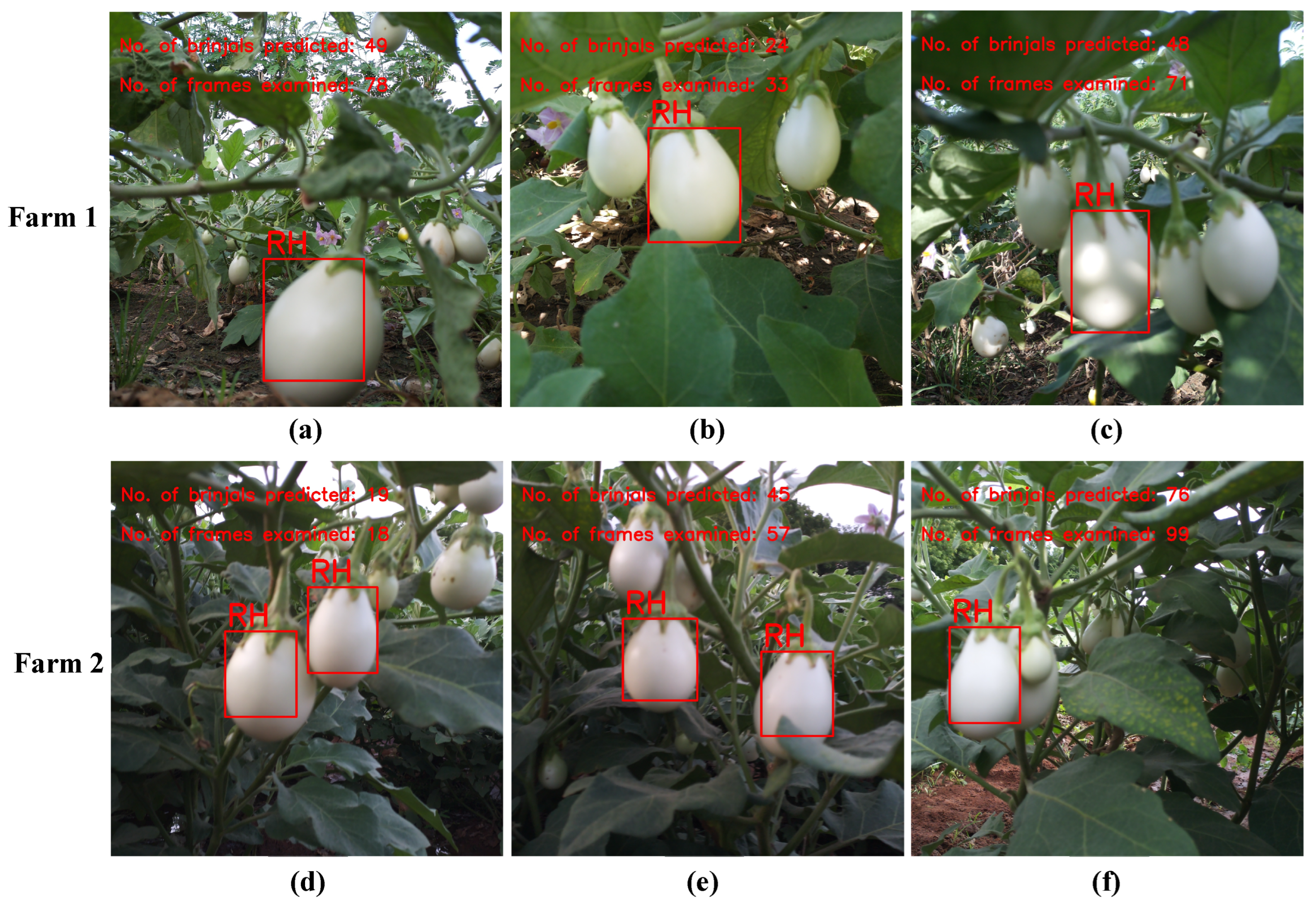 Agriengineering 07 00196 g013
