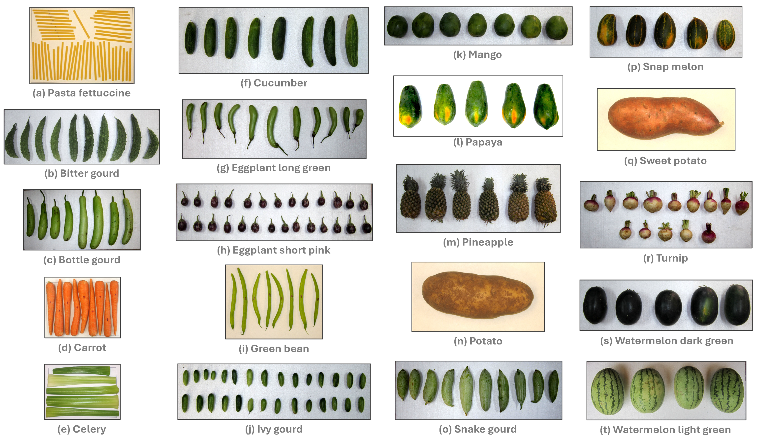 Agriengineering 07 00204 g001