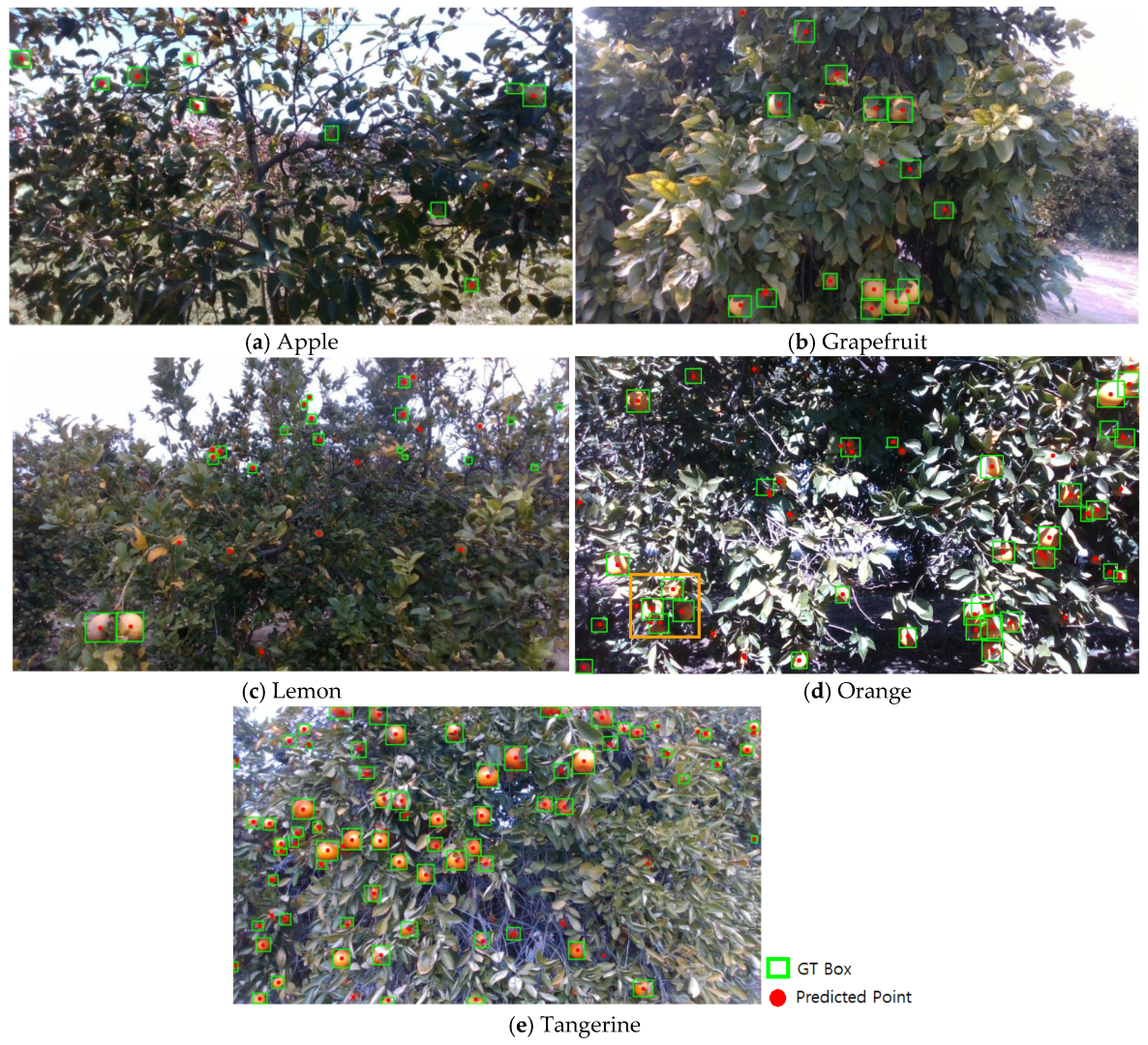 Agriengineering 07 00220 g006