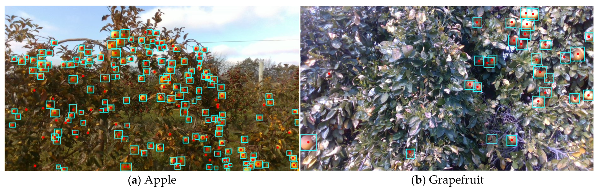 Agriengineering 07 00220 g007a