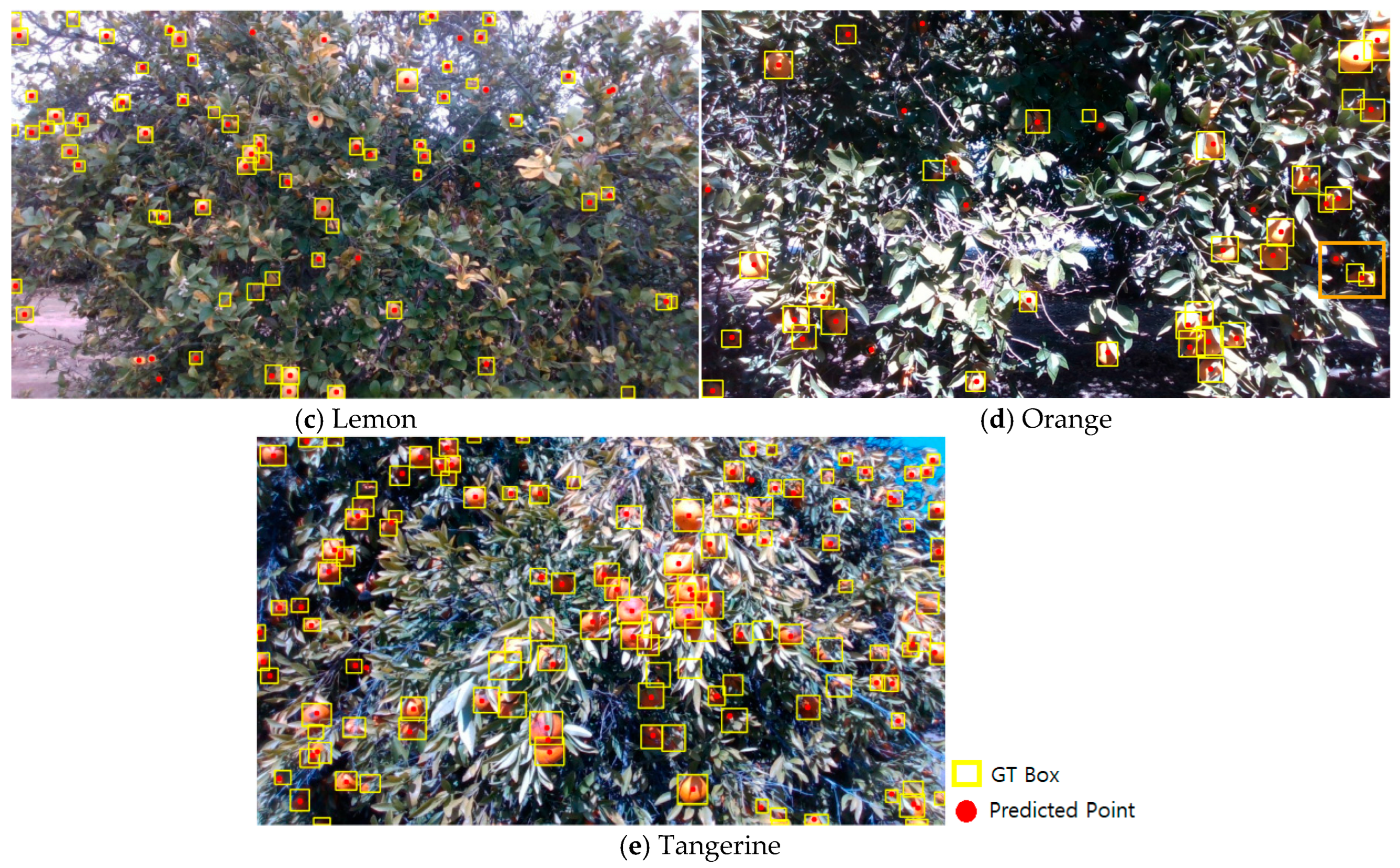 Agriengineering 07 00220 g008b