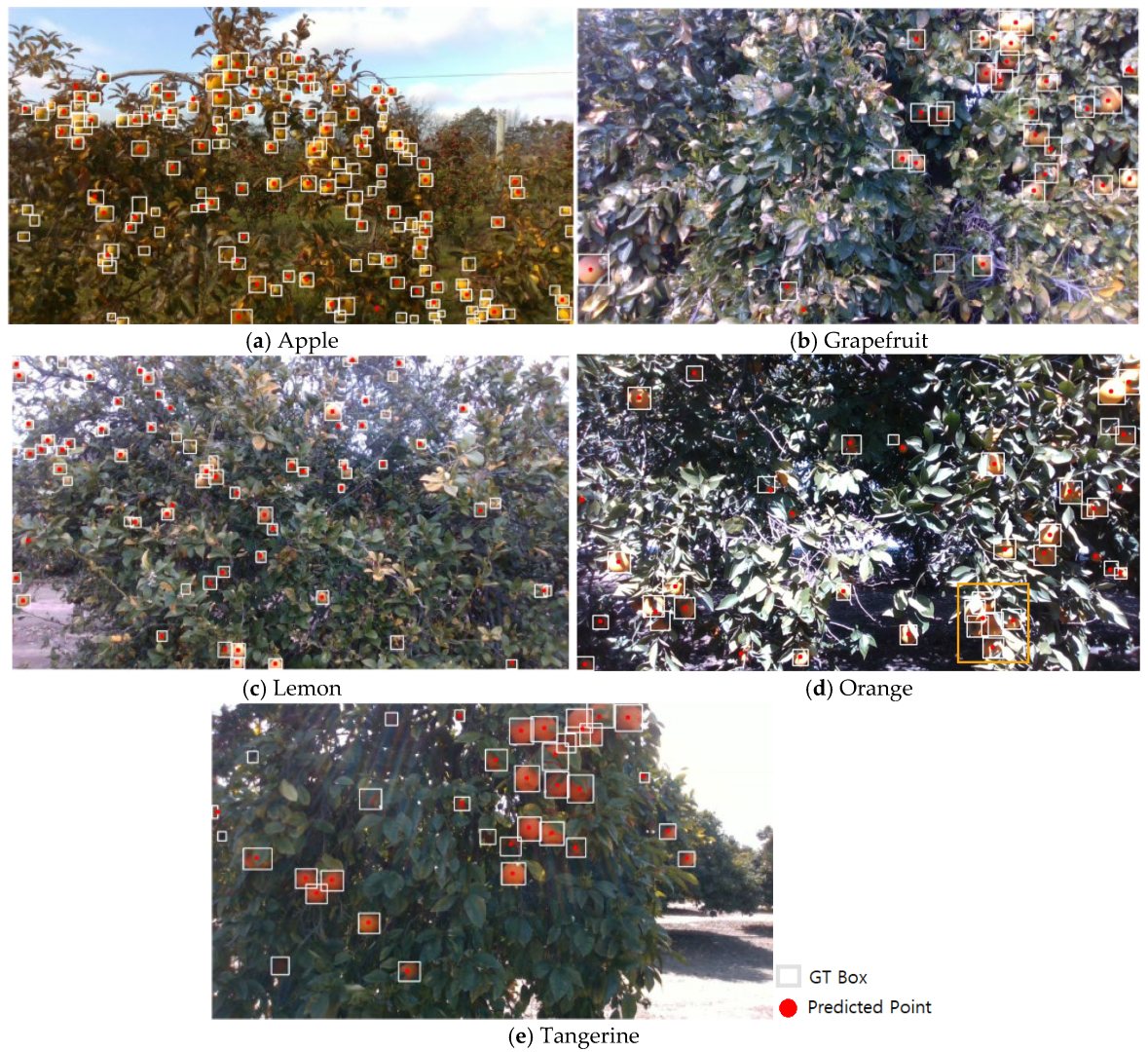 Agriengineering 07 00220 g009