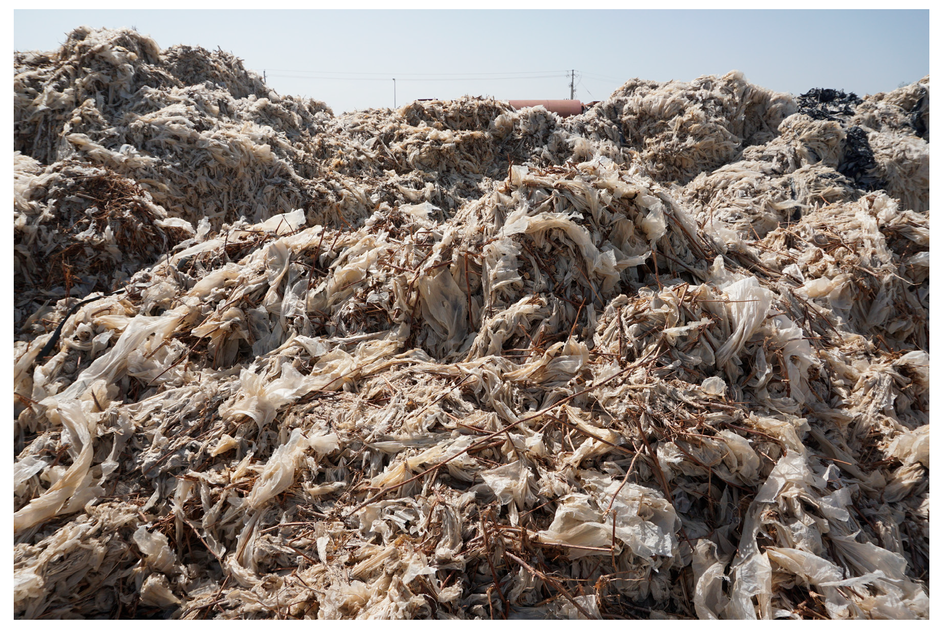 Agriengineering 07 00244 g001