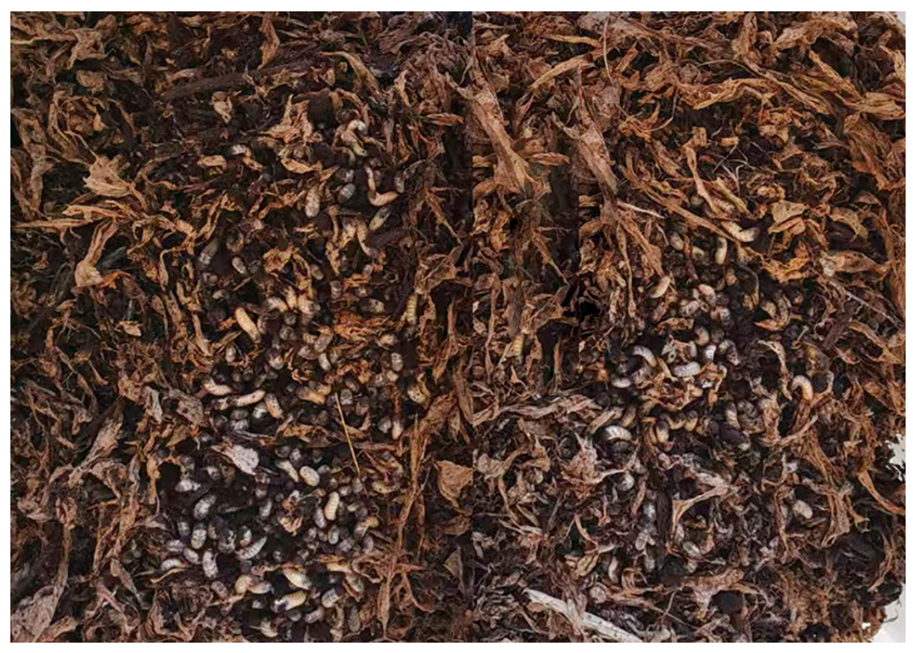 Agriengineering 07 00244 g002