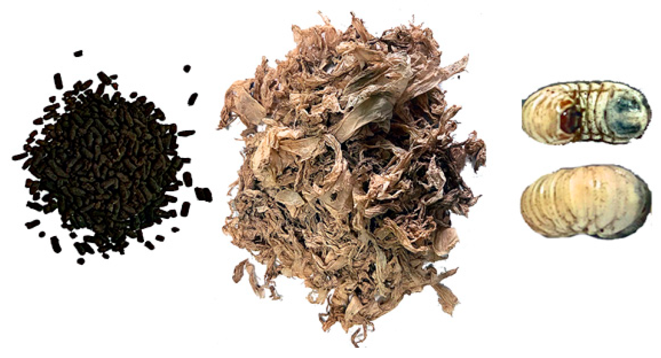 Agriengineering 07 00244 g003