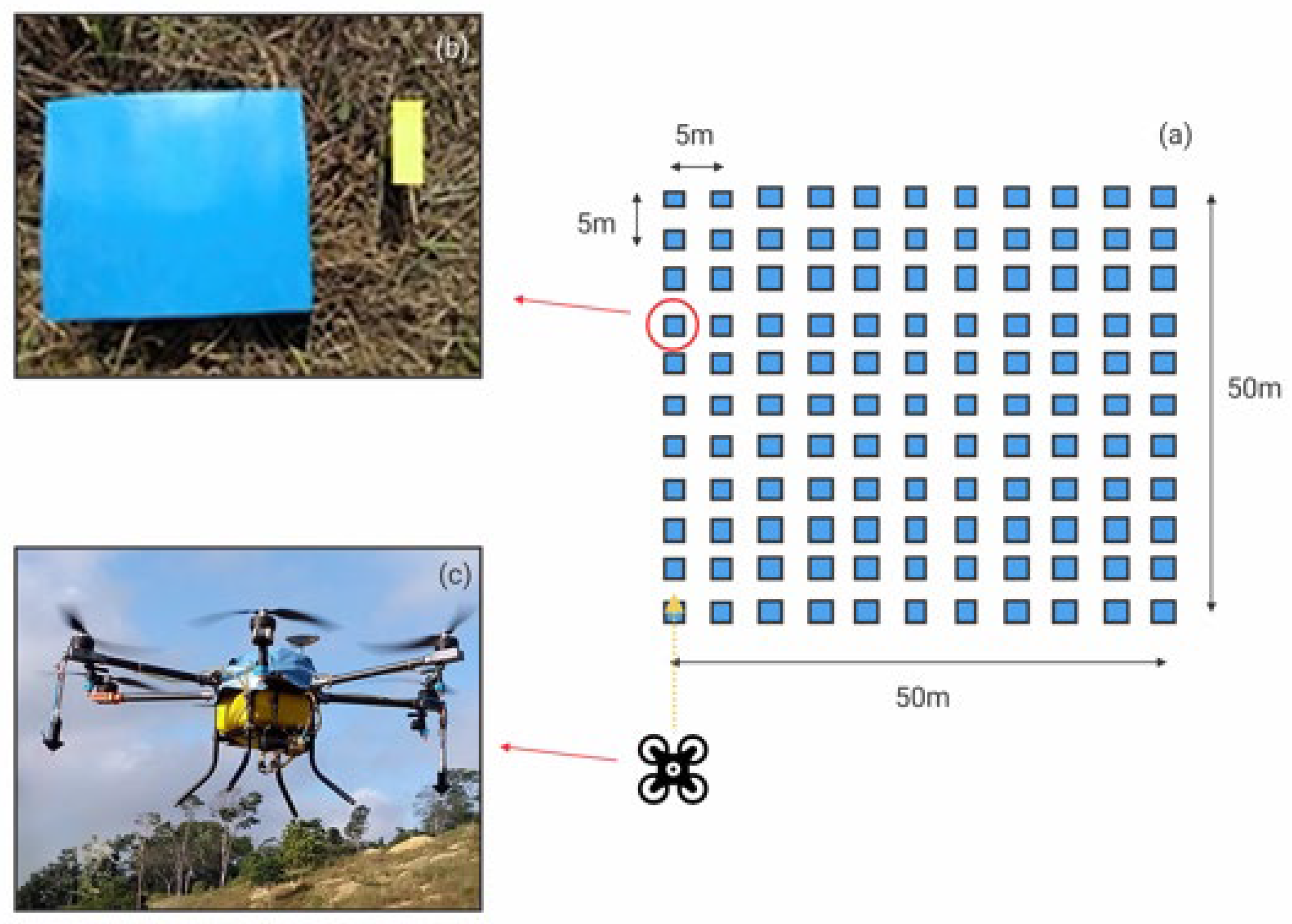 Agriengineering 07 00245 g002