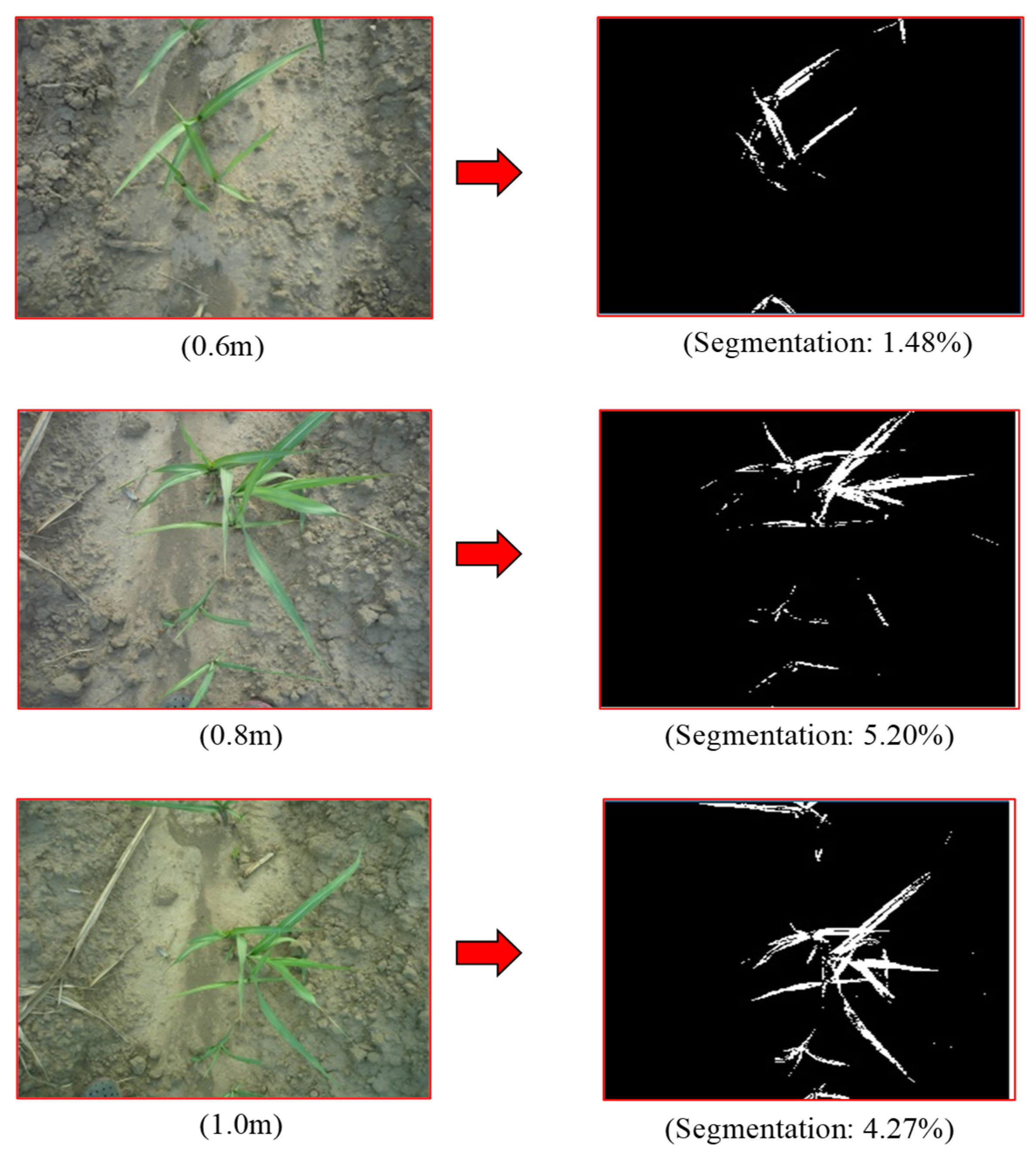 Agriengineering 07 00249 g009