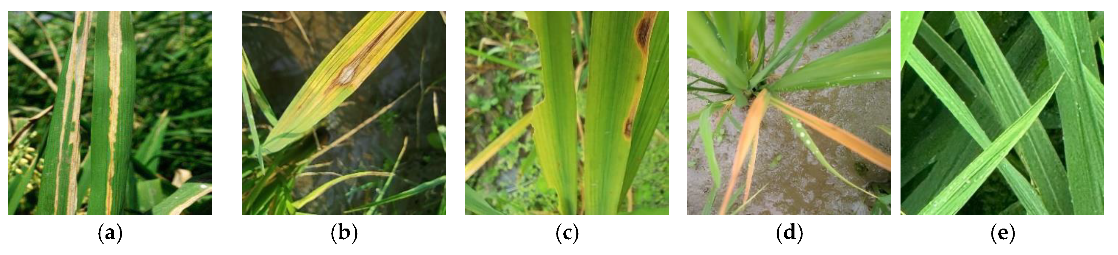 Agriengineering 07 00255 g001
