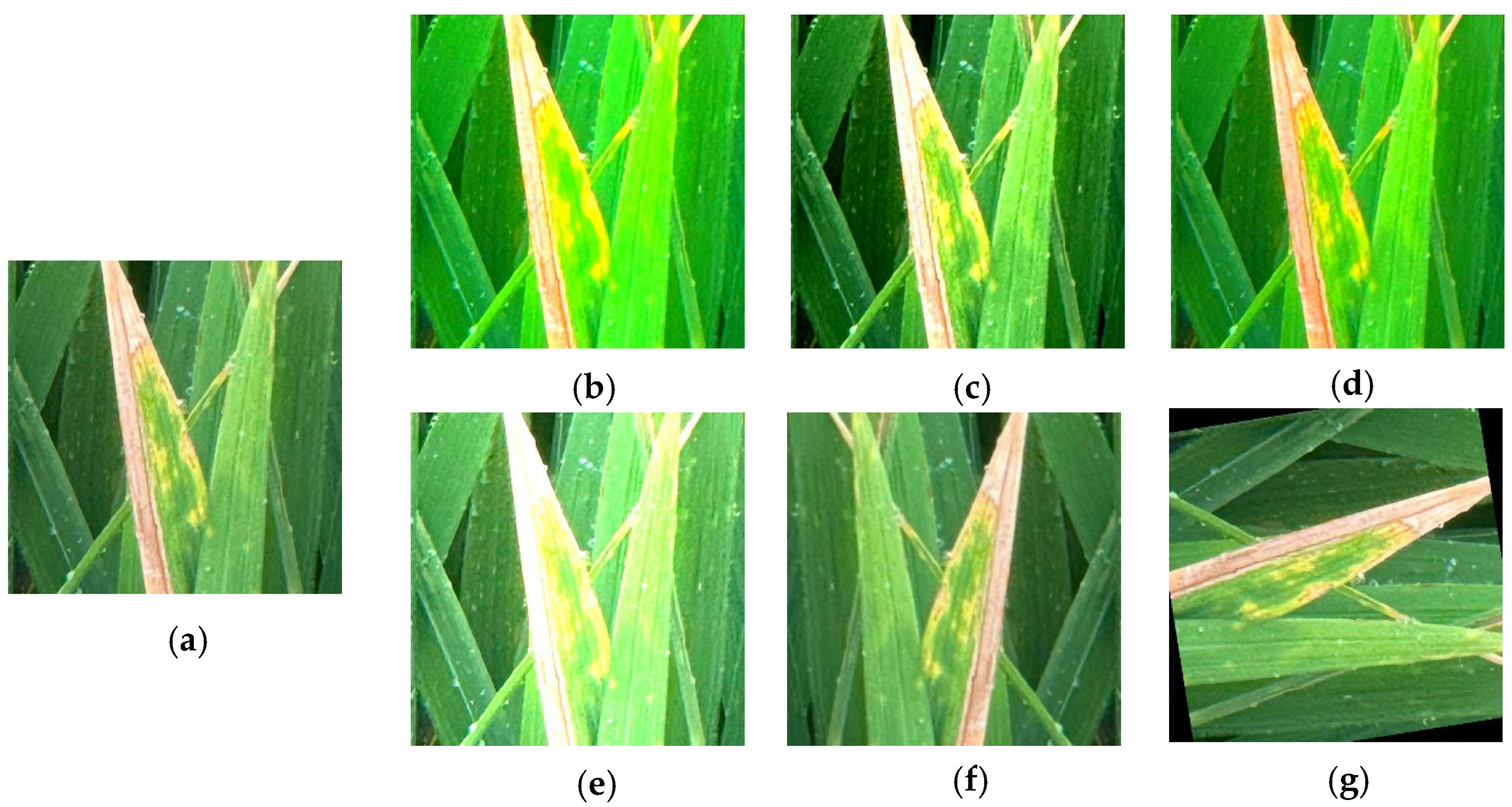 Agriengineering 07 00255 g002