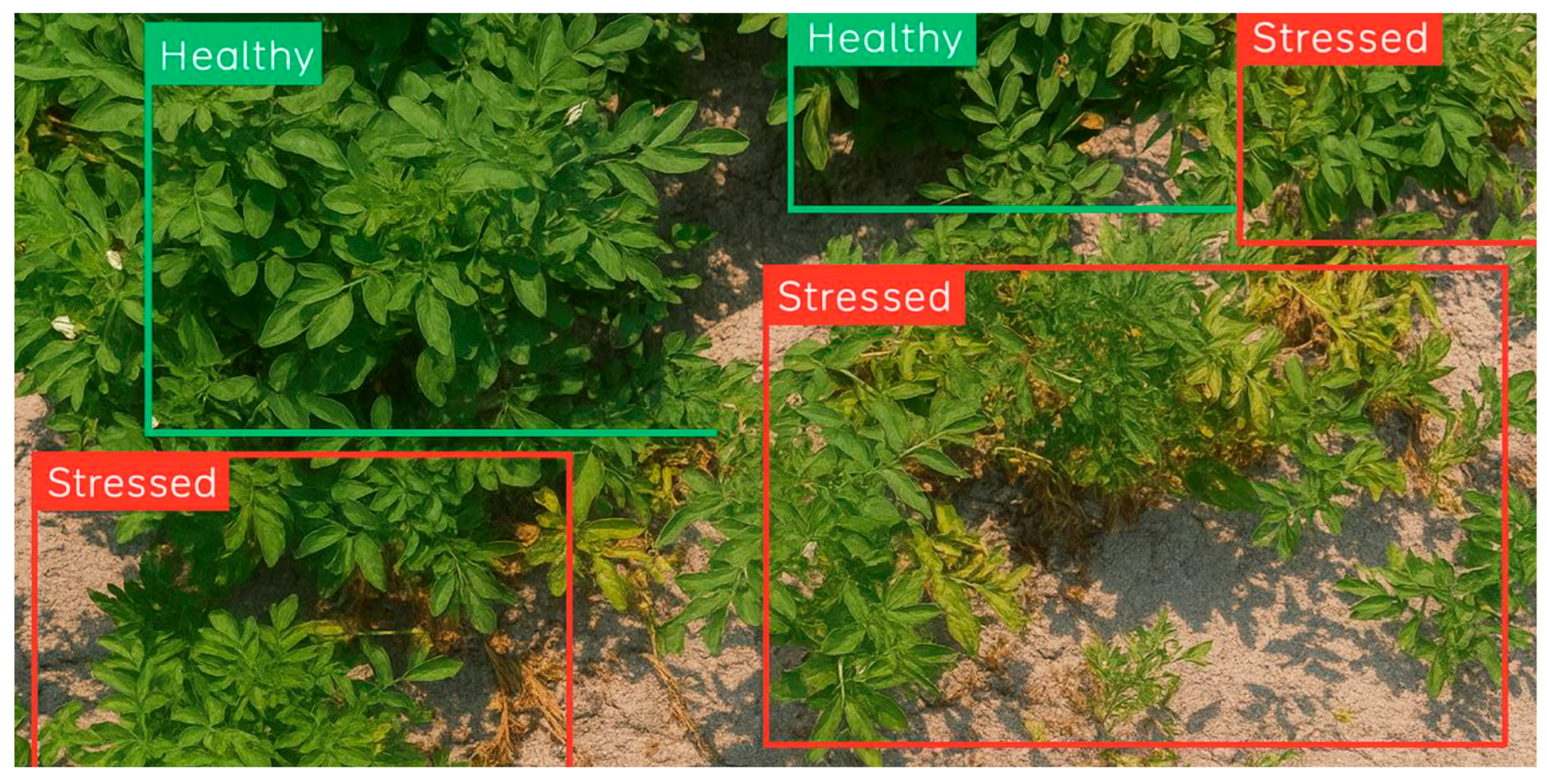 Agriengineering 07 00257 g001