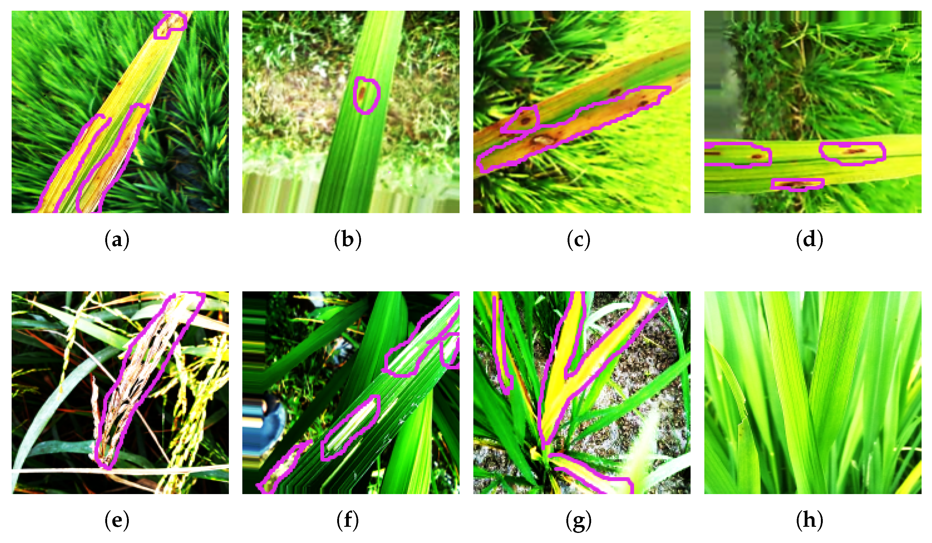 Agriengineering 07 00268 g002