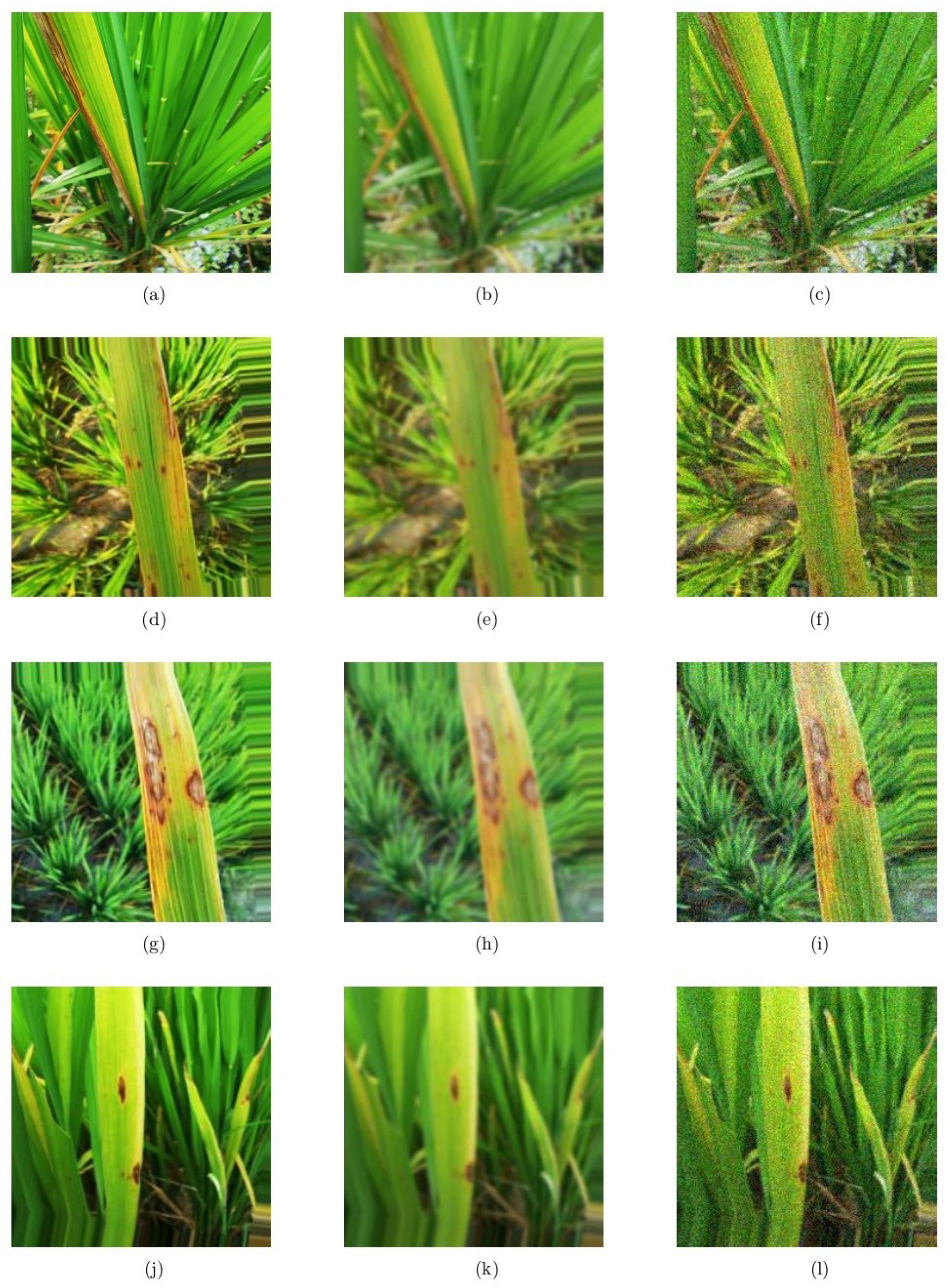 Agriengineering 07 00268 g011