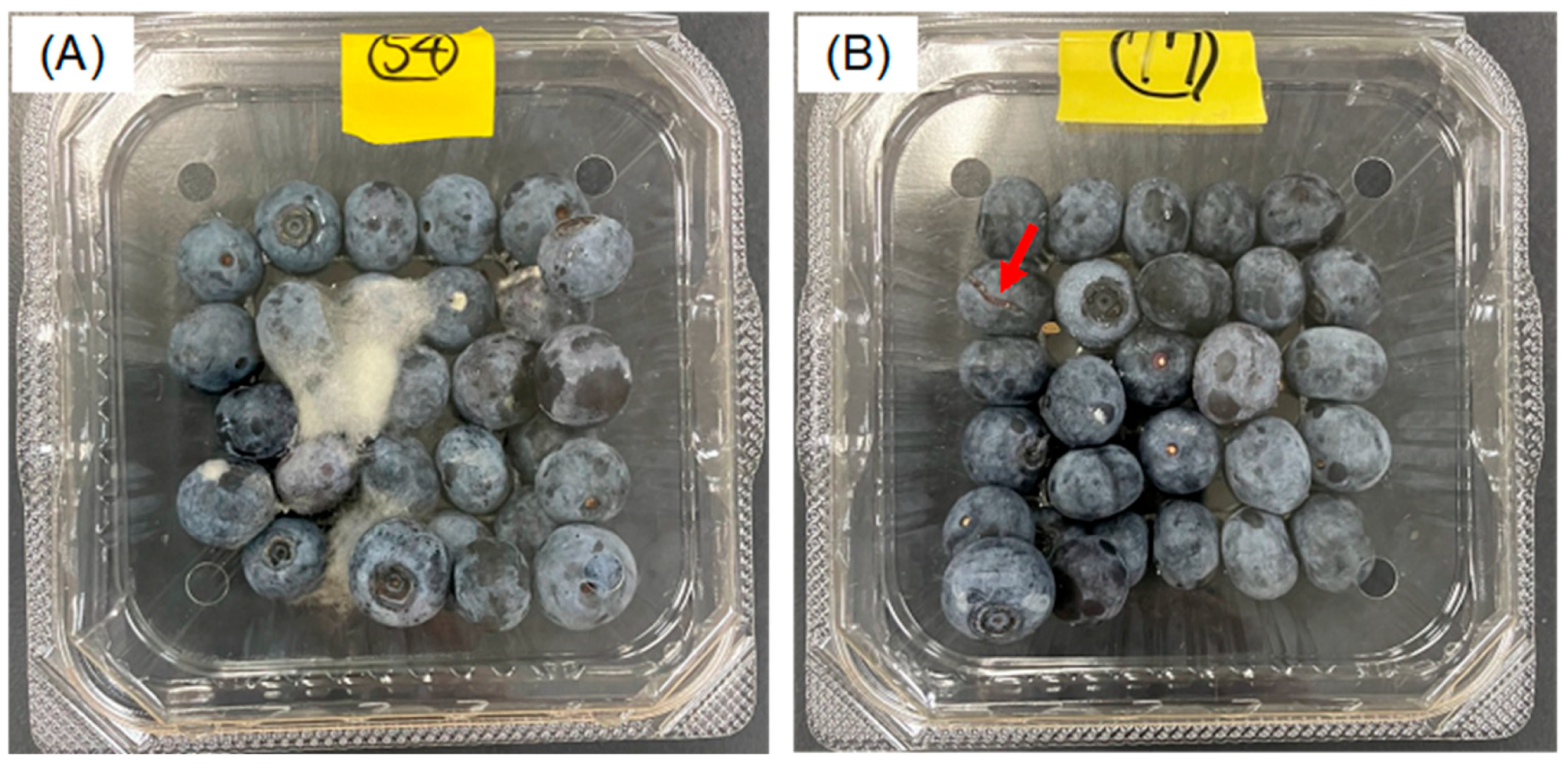 Agriengineering 07 00269 g006