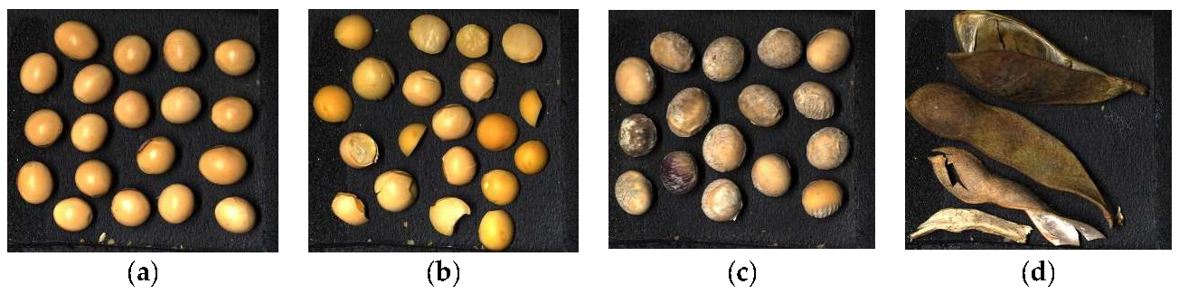 Agriengineering 07 00274 g001