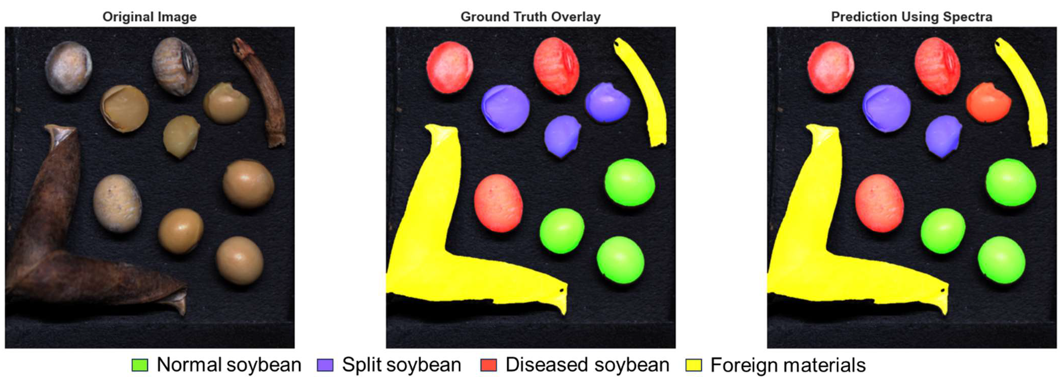 Agriengineering 07 00274 g011