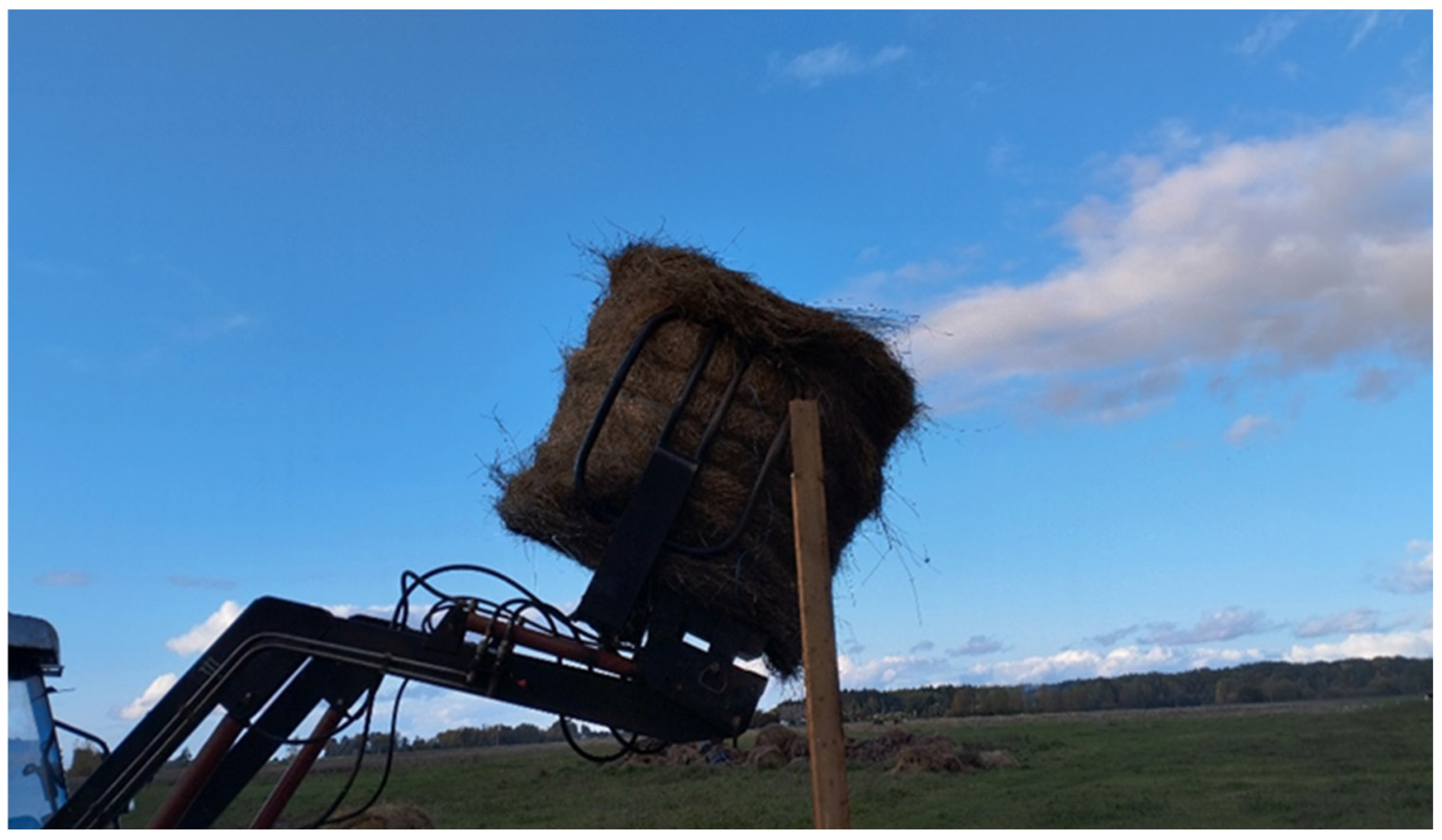 Agriengineering 07 00276 g004