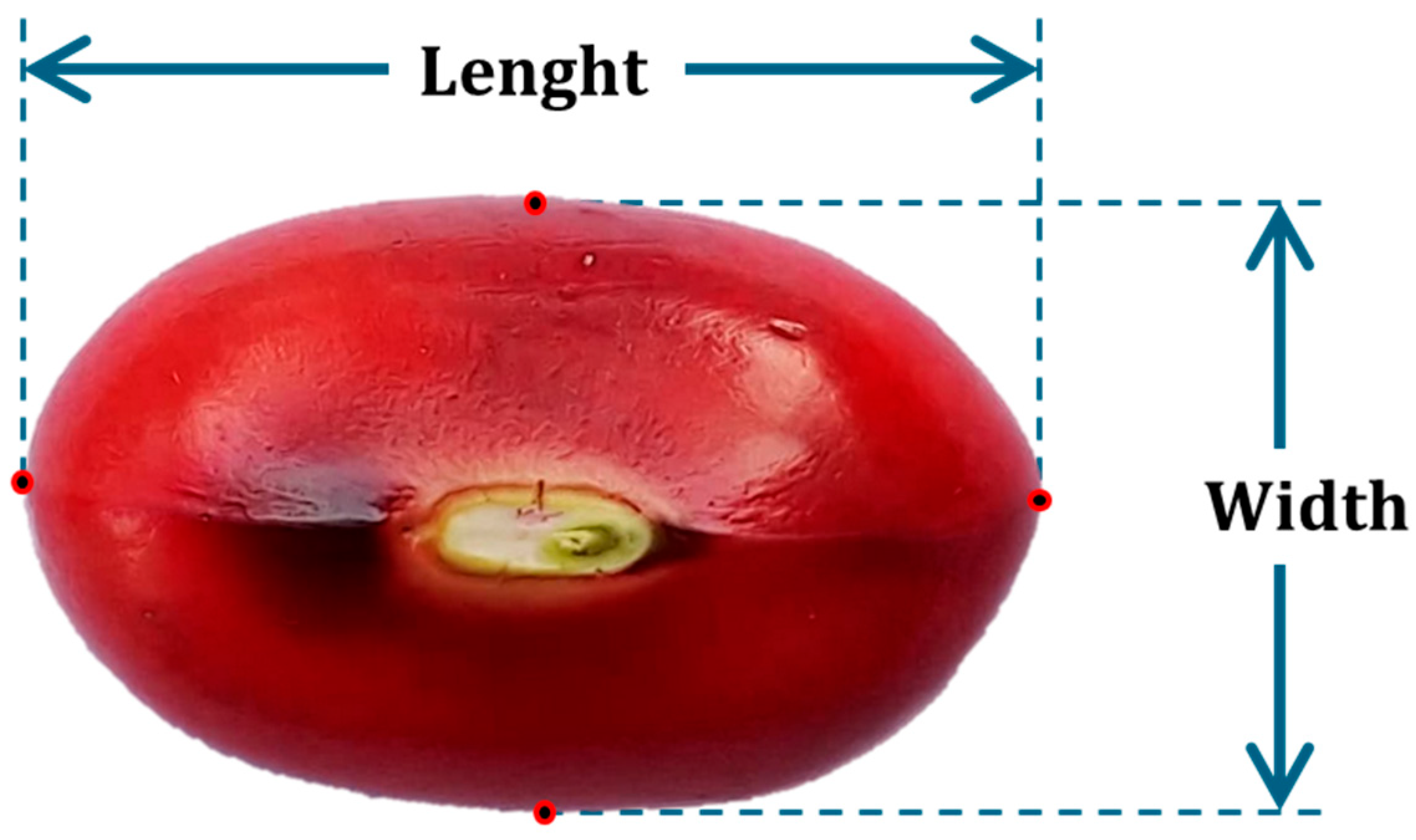 Agriengineering 07 00277 g001