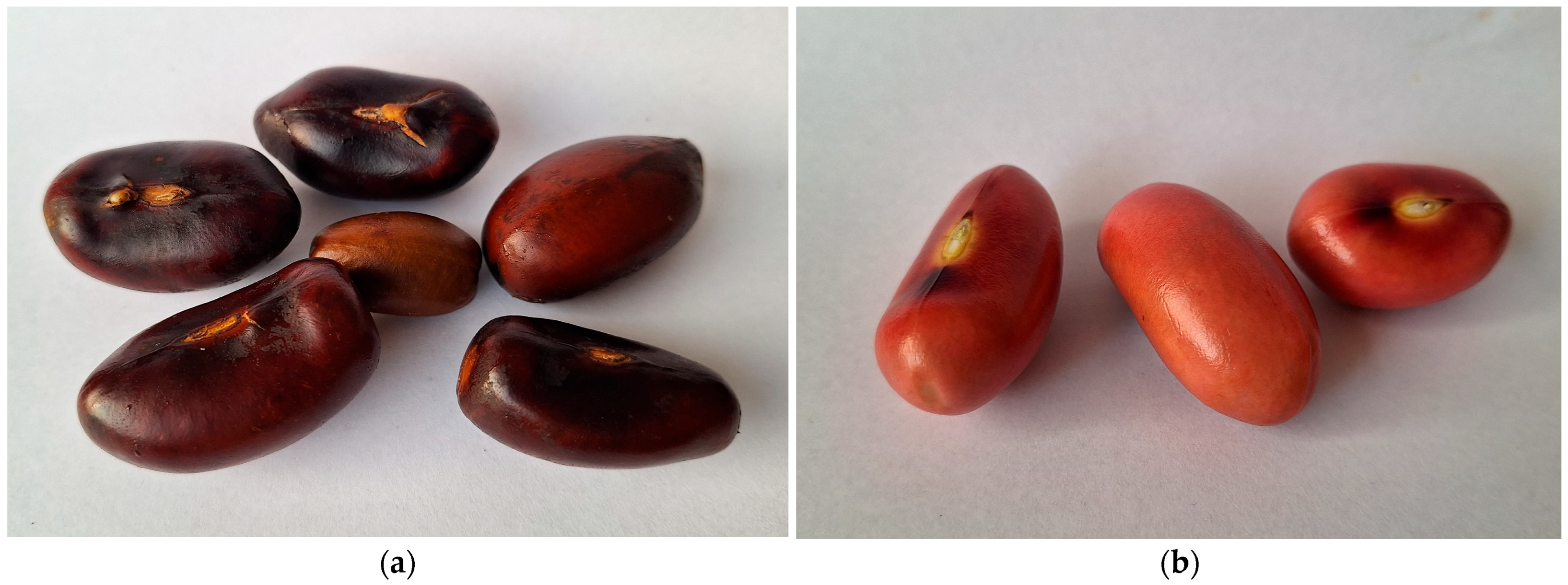 Agriengineering 07 00277 g002