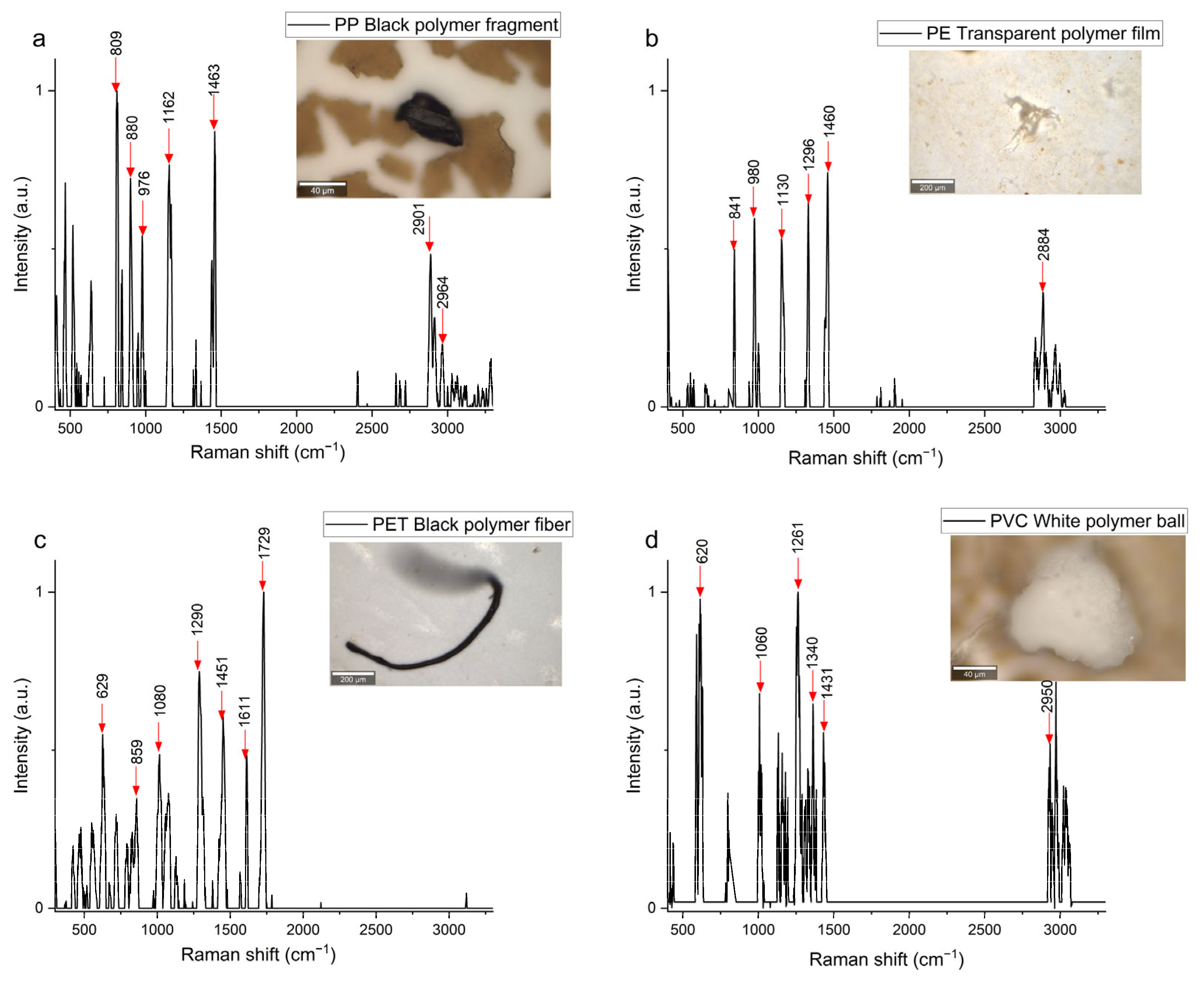 Agriengineering 07 00281 g005